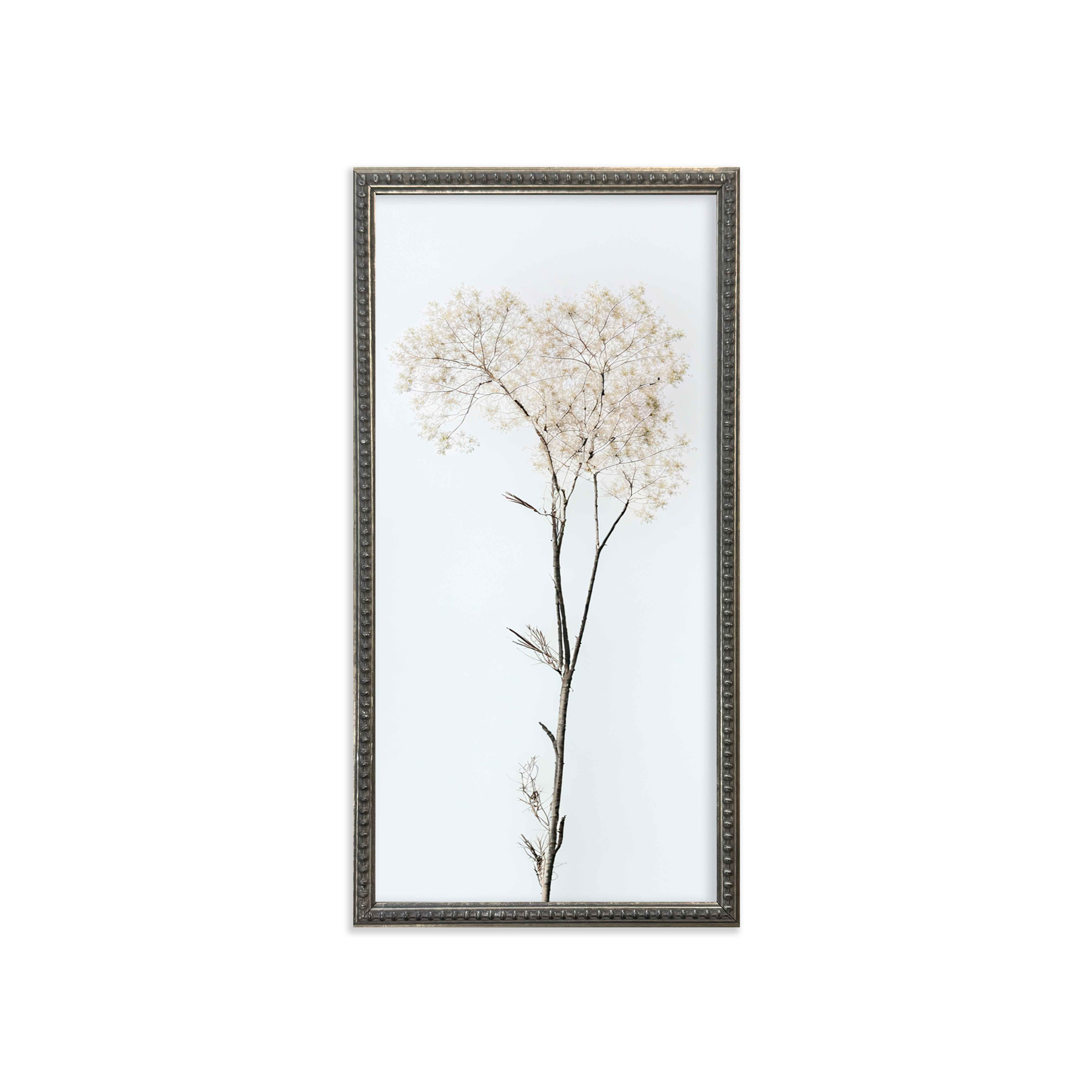 12x24 Wispy Botanicals set of 4