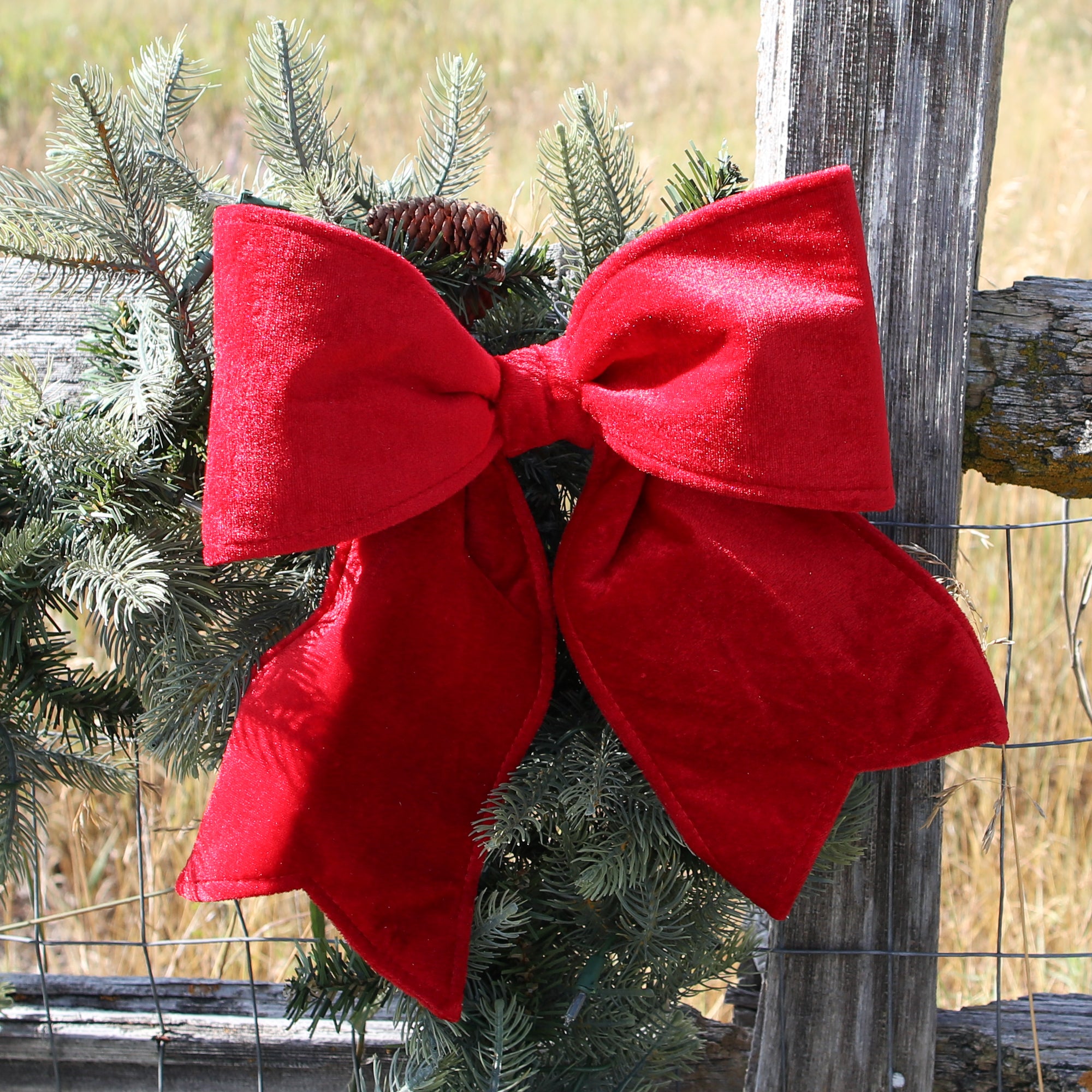 Small Red Outdoor Velvet Bow