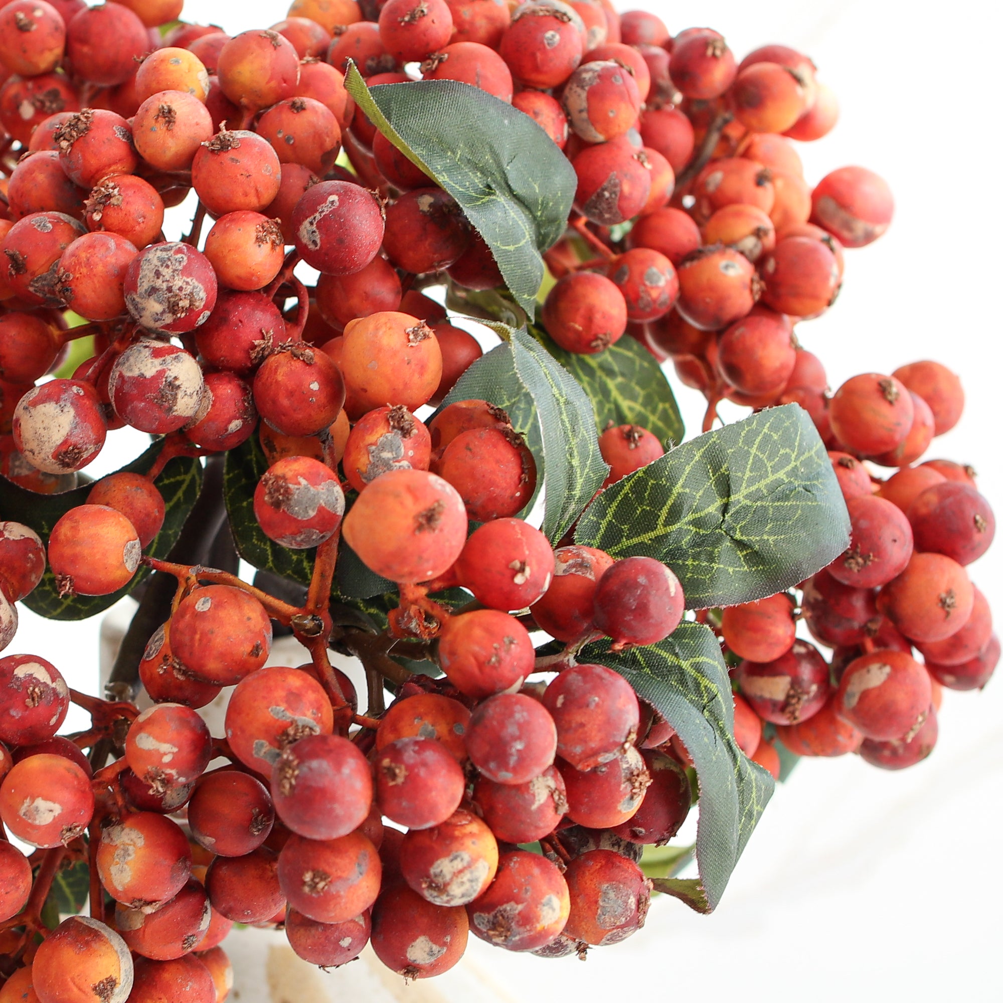 12" Orange Berry Bundle