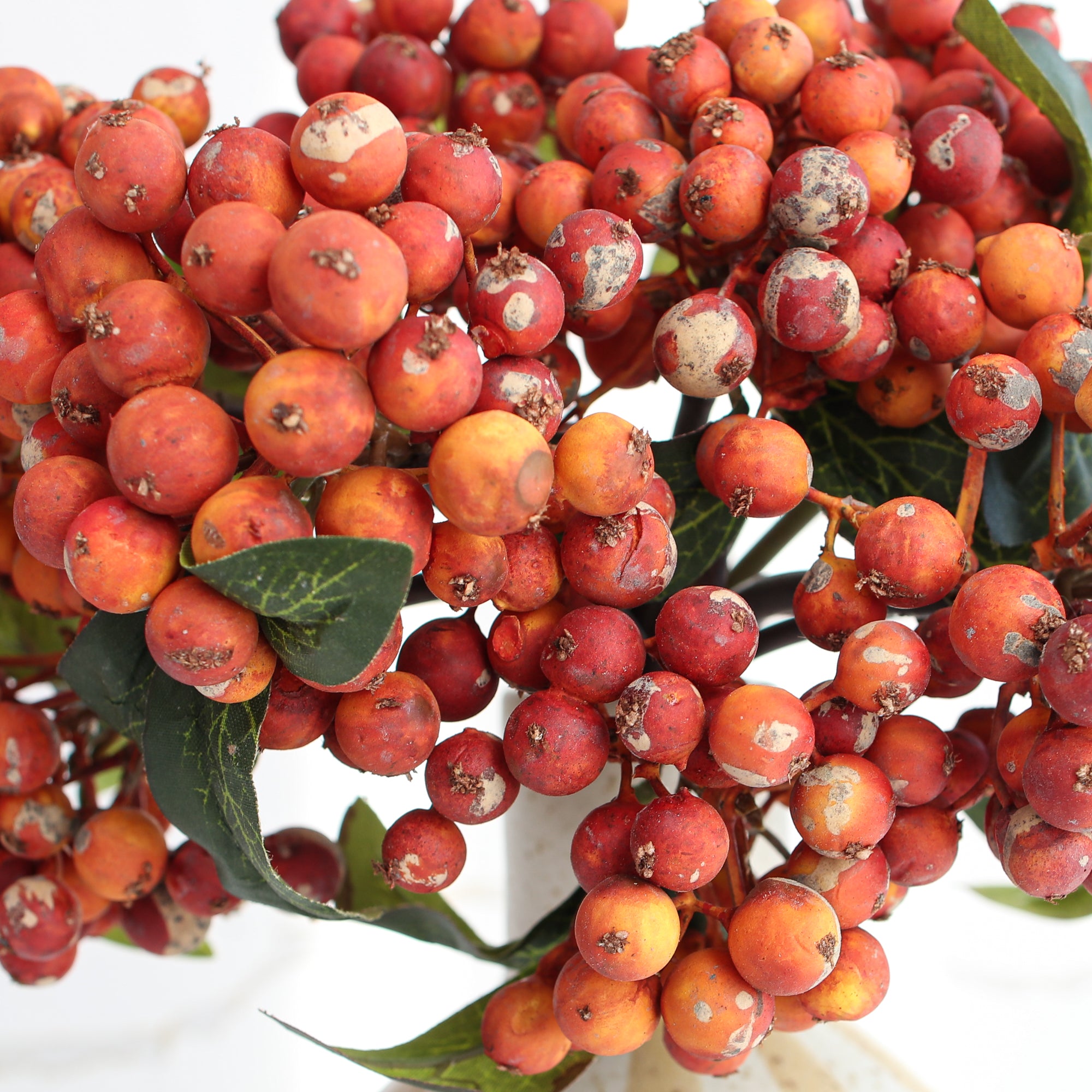 12" Orange Berry Bundle