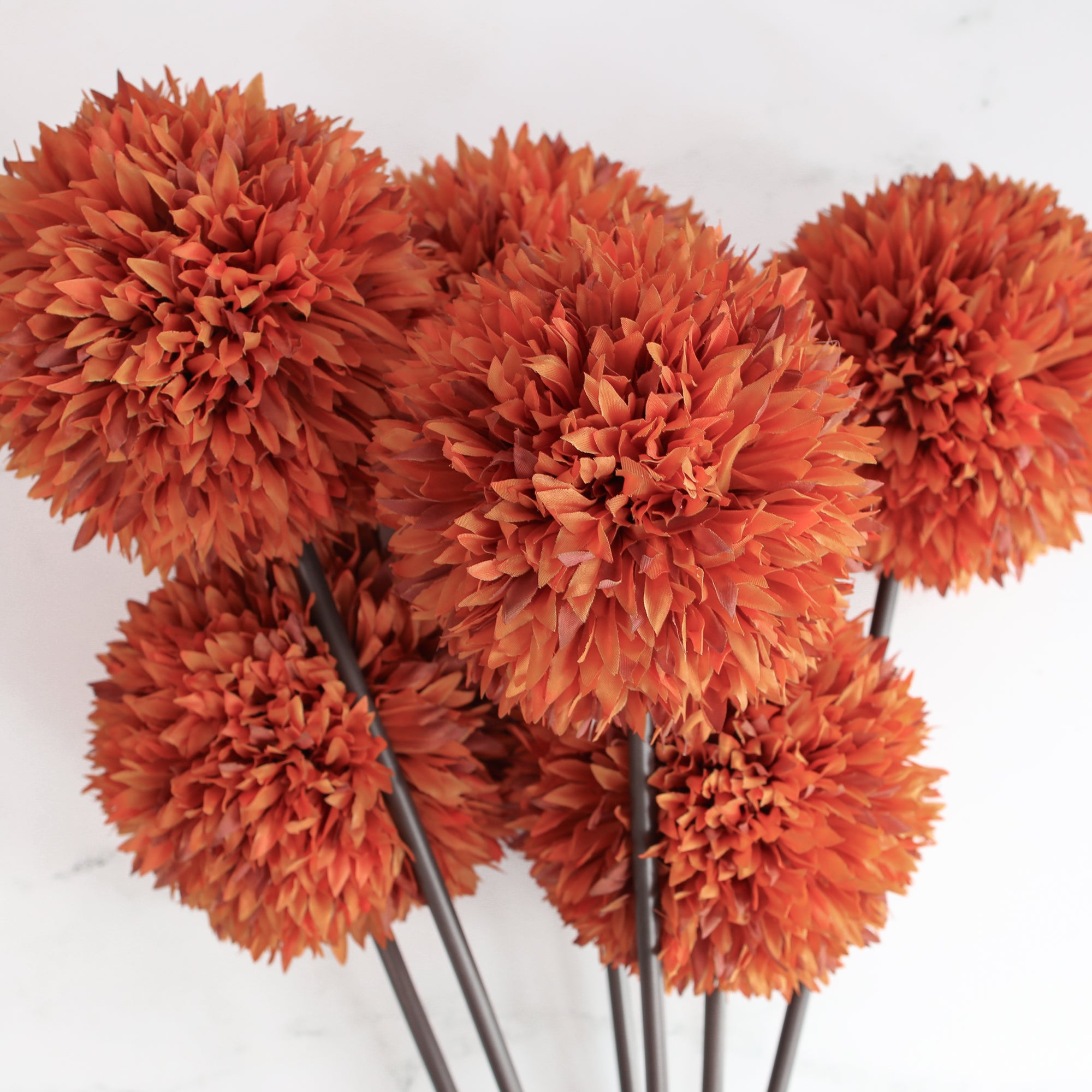 Orange Allium Stem