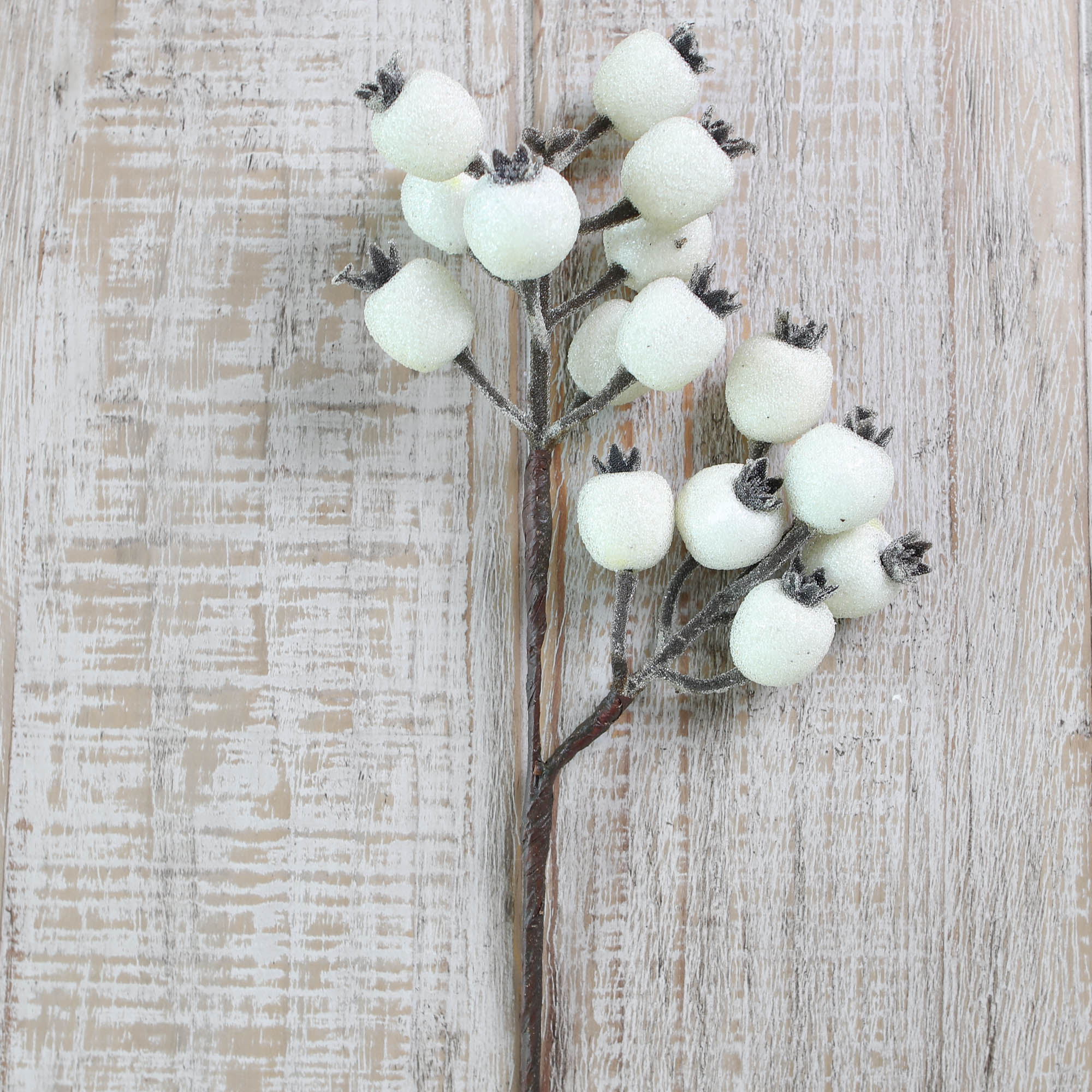 White Rose Hip Spray