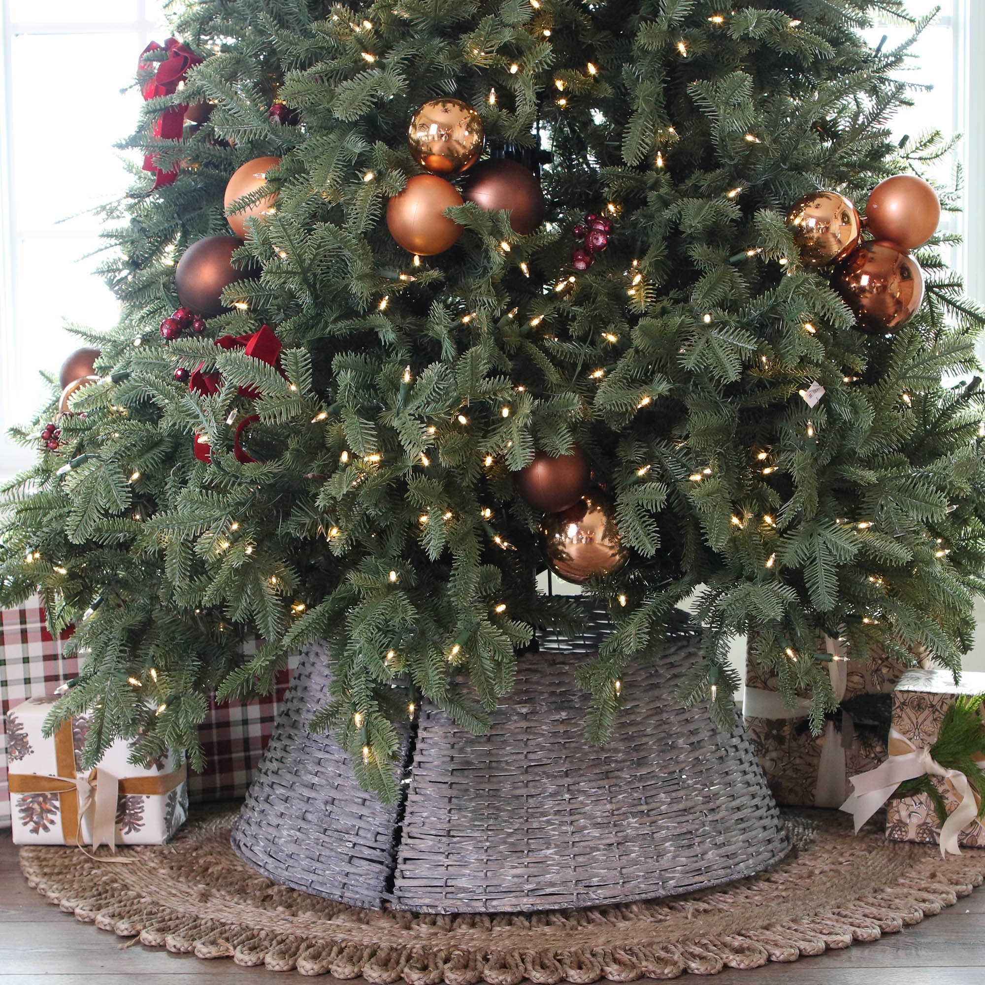Large Willow Tree Ring