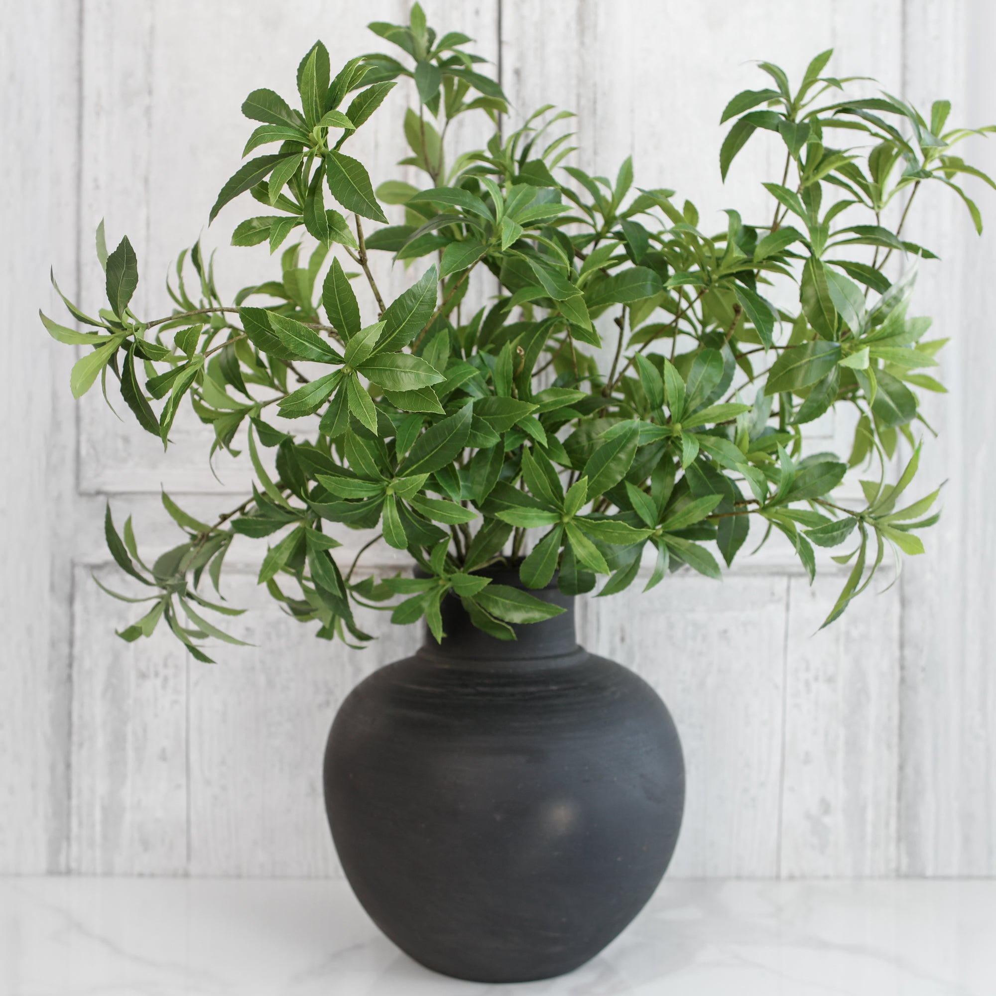 13.5 in Black Vase with Narrow Opening - Interior Delights