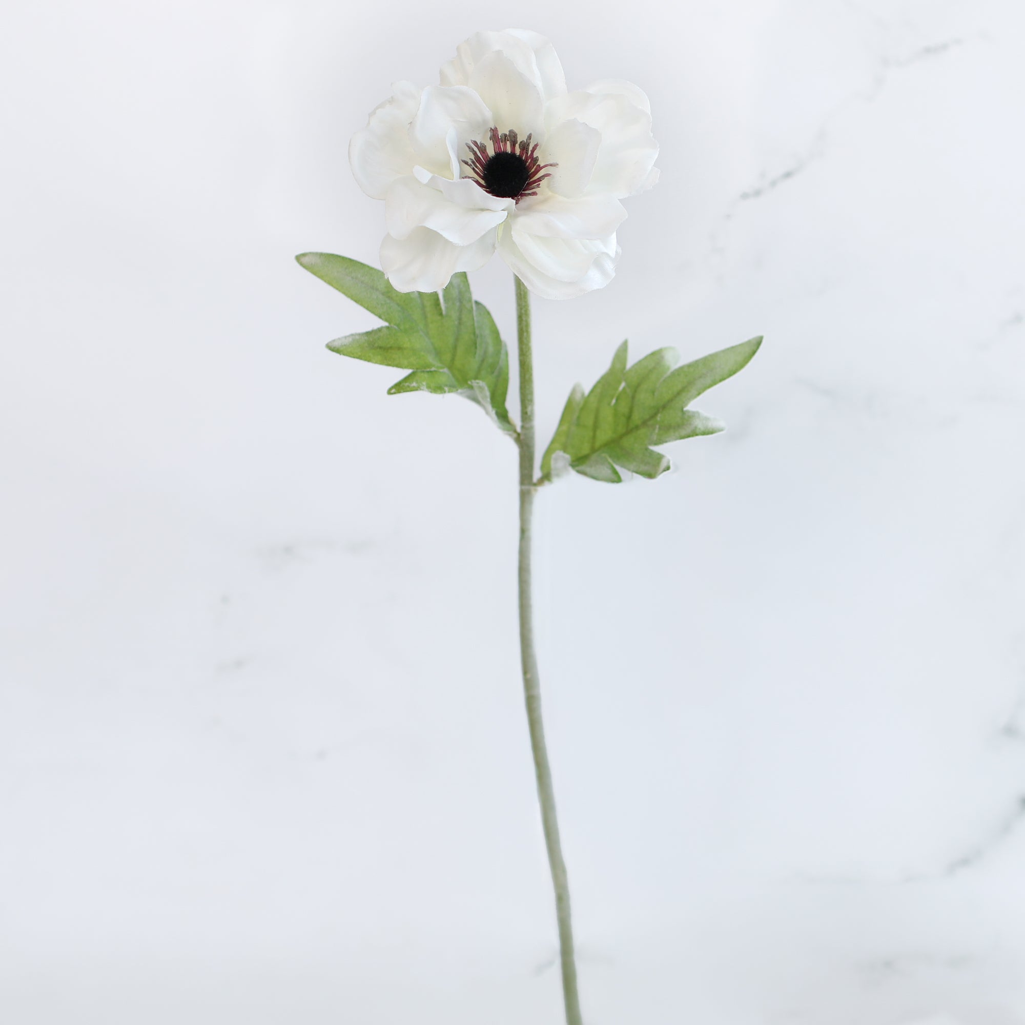 17" White Anemone Stem - Interior Delights