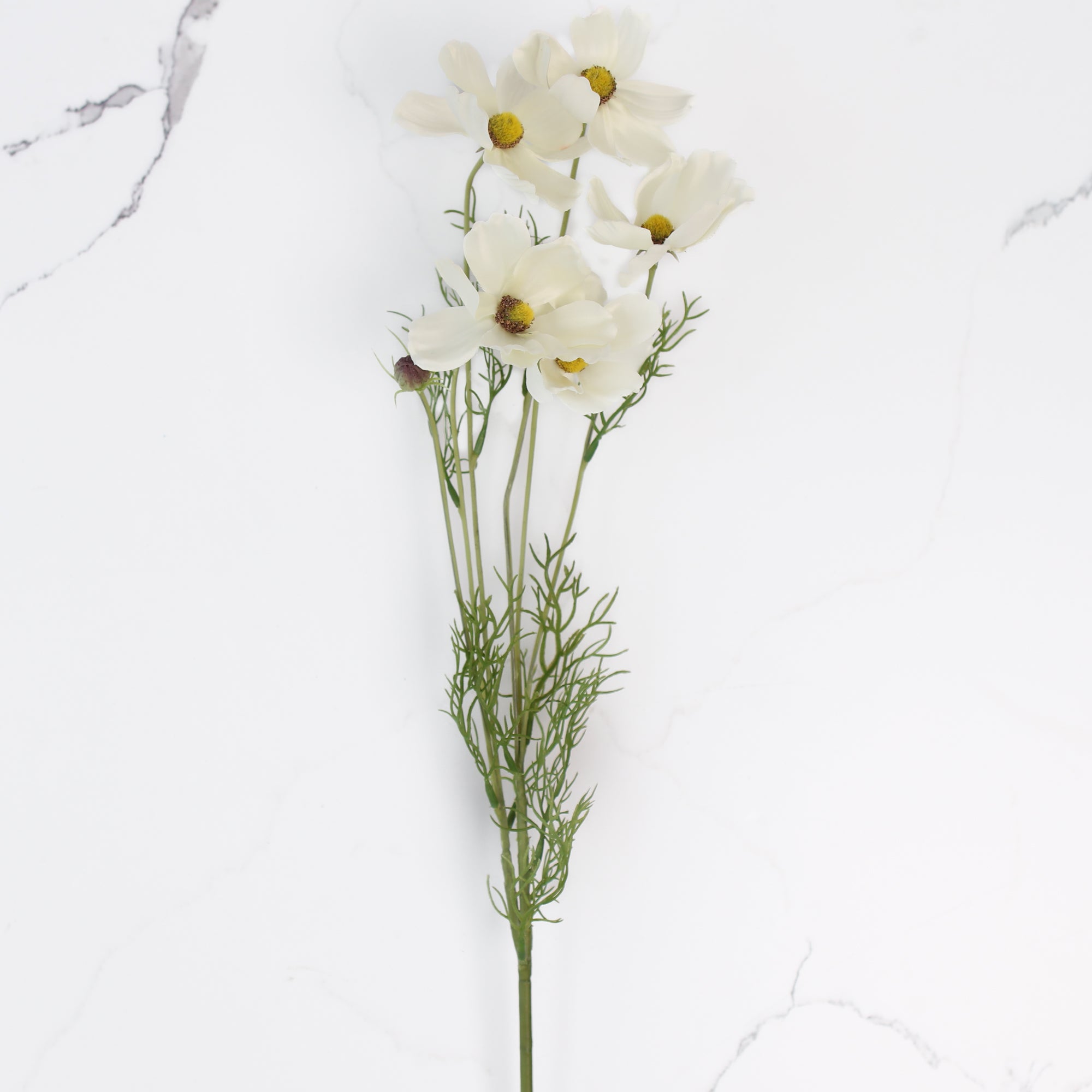 32" White Cosmos Stem - Interior Delights