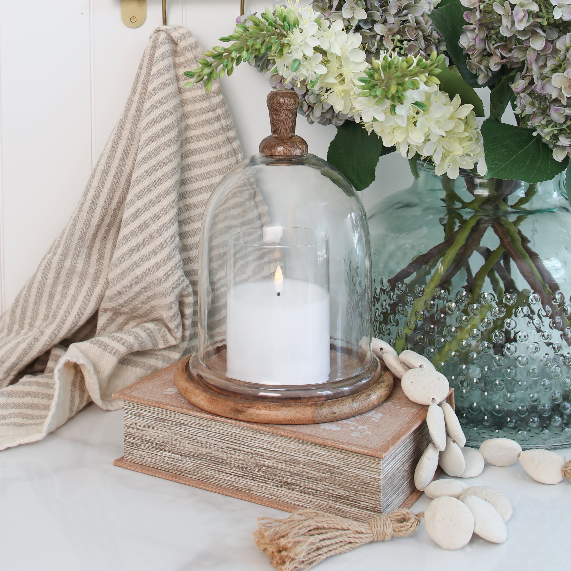 Glass and Wood Cloche - Interior Delights
