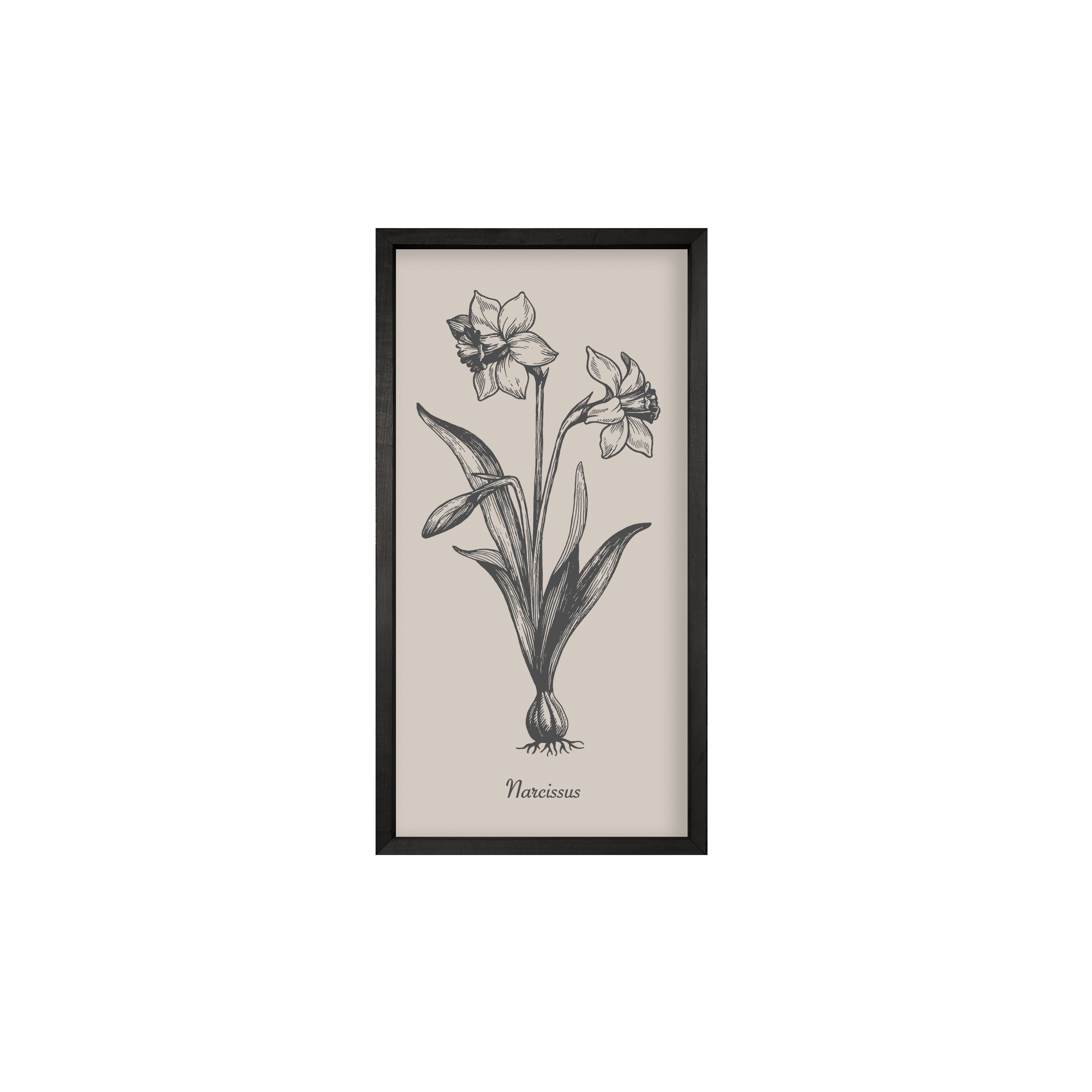 35x18 Thin Black Vintage Botanicals (Set of 6)