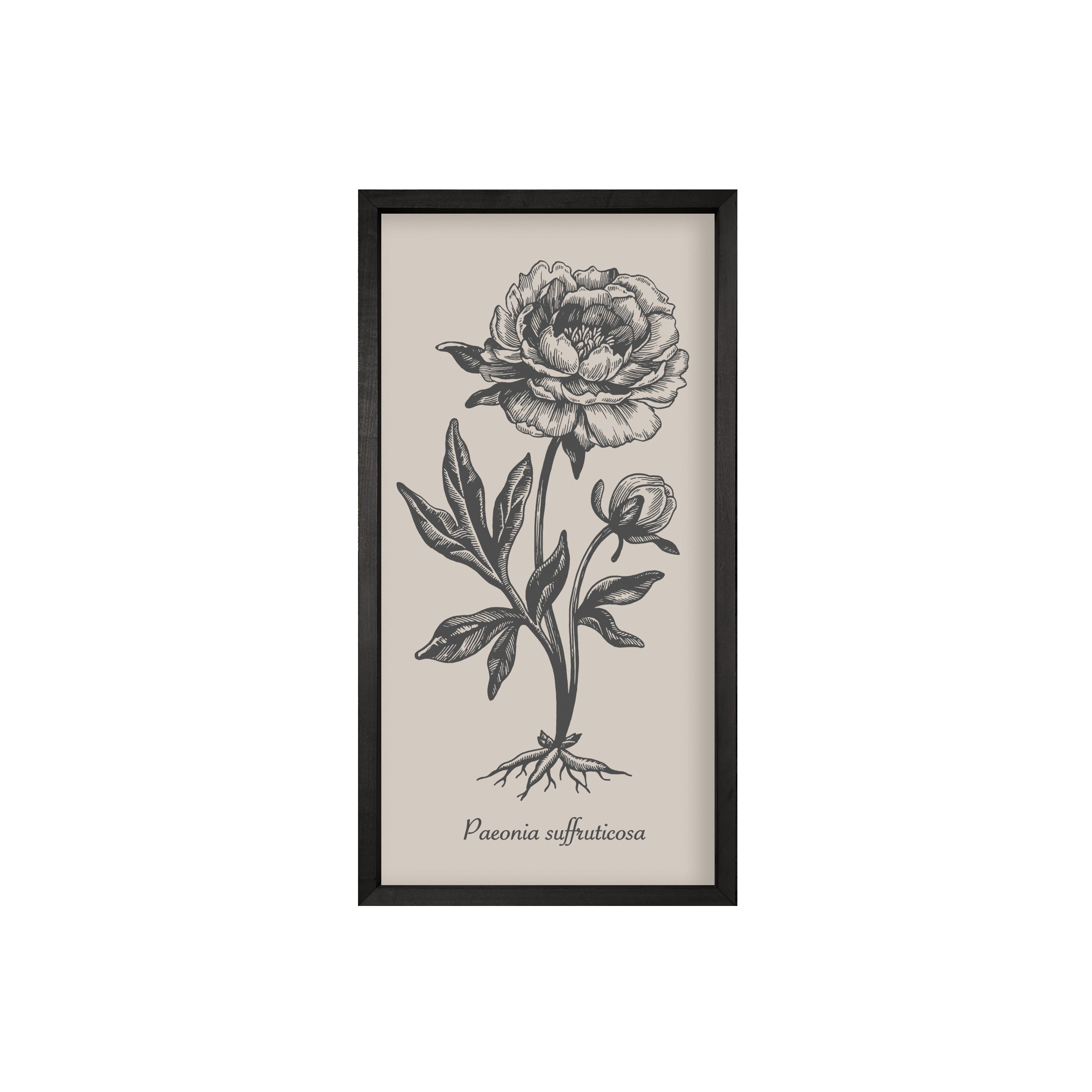 35x18 Thin Black Vintage Botanicals (Set of 6)