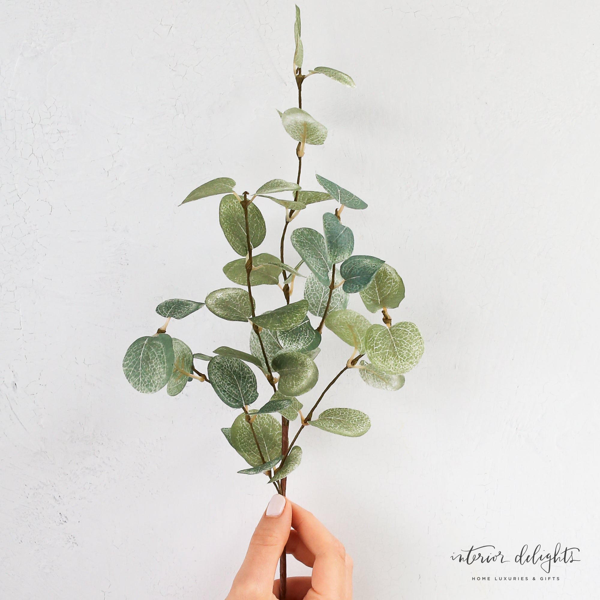 12” Little Eucalyptus Pick in a stylish small bud vase, showcasing the delicate leaves and overall design.