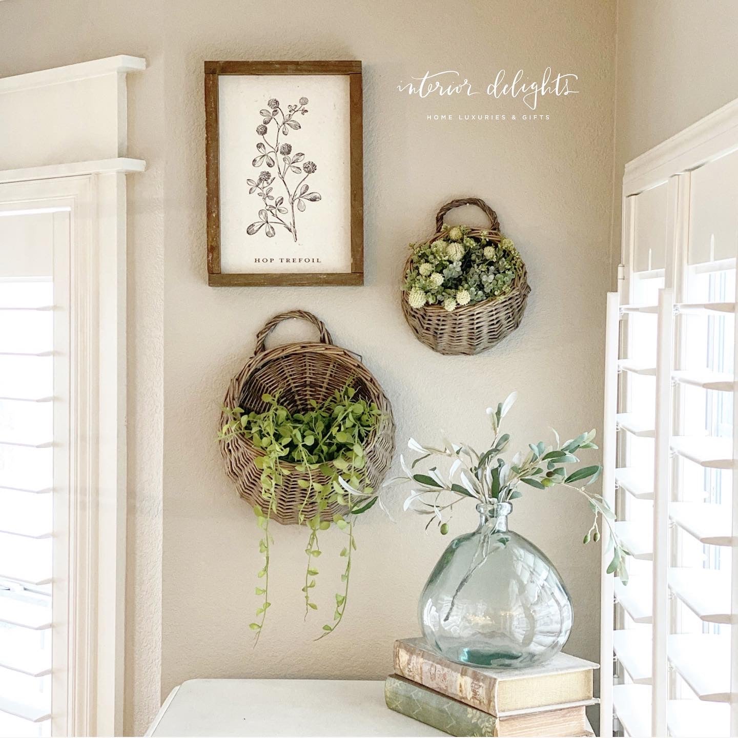 Stylish Set of 2 Round Willow Baskets hanging on a wall, enhancing the rustic decor with plants.