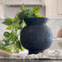 9.5" Black Paul Vase elegantly showcasing its rich, textured finish, perfect for adding sophistication to any room.