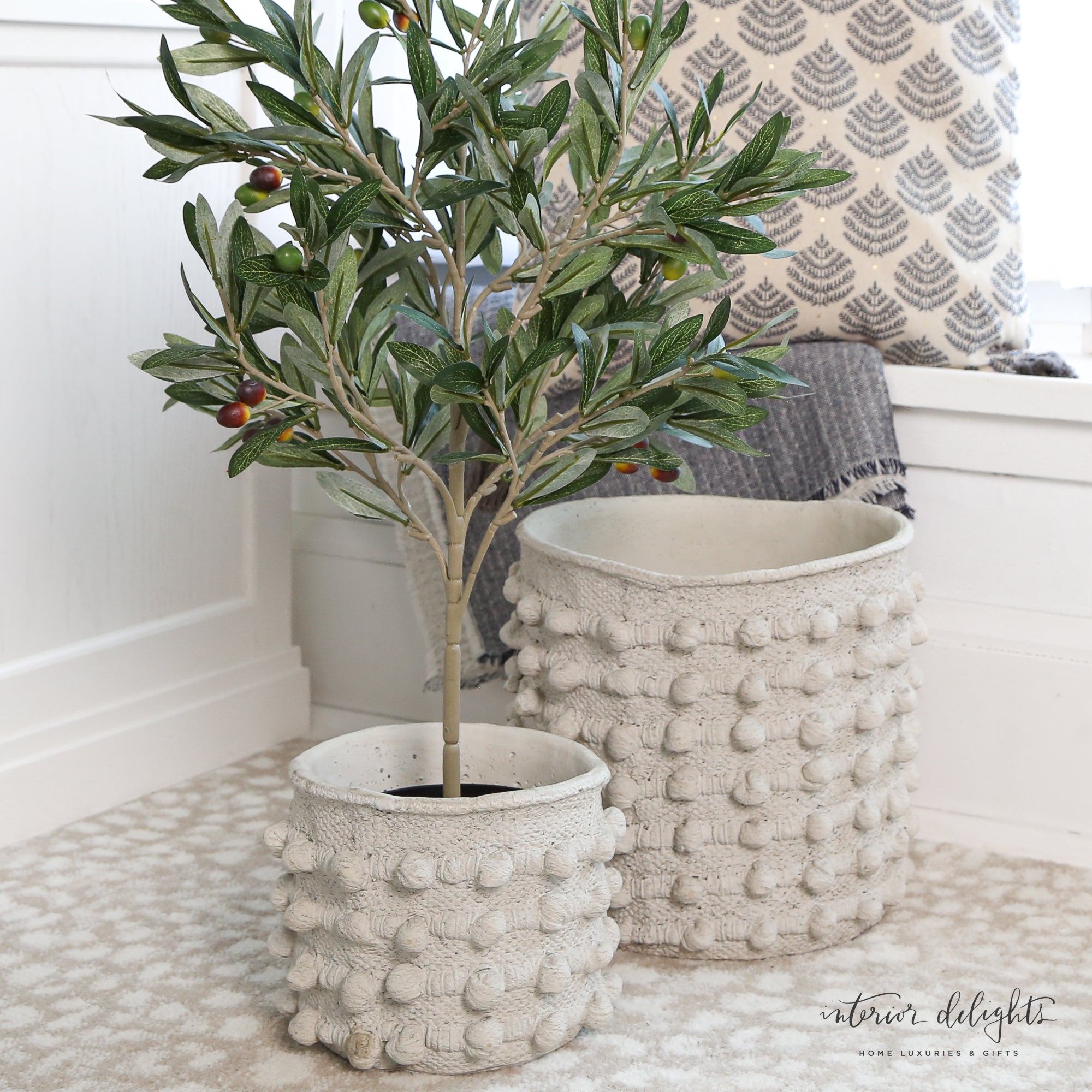 8” Cream Knot Planter from the set of 2 displayed with an olive tree, perfect for indoor decor.