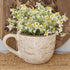 5" Beige Heirloom Tea Cup Planter featuring a large cup design available in stylish beige color, ideal for patios and tabletop decoration.