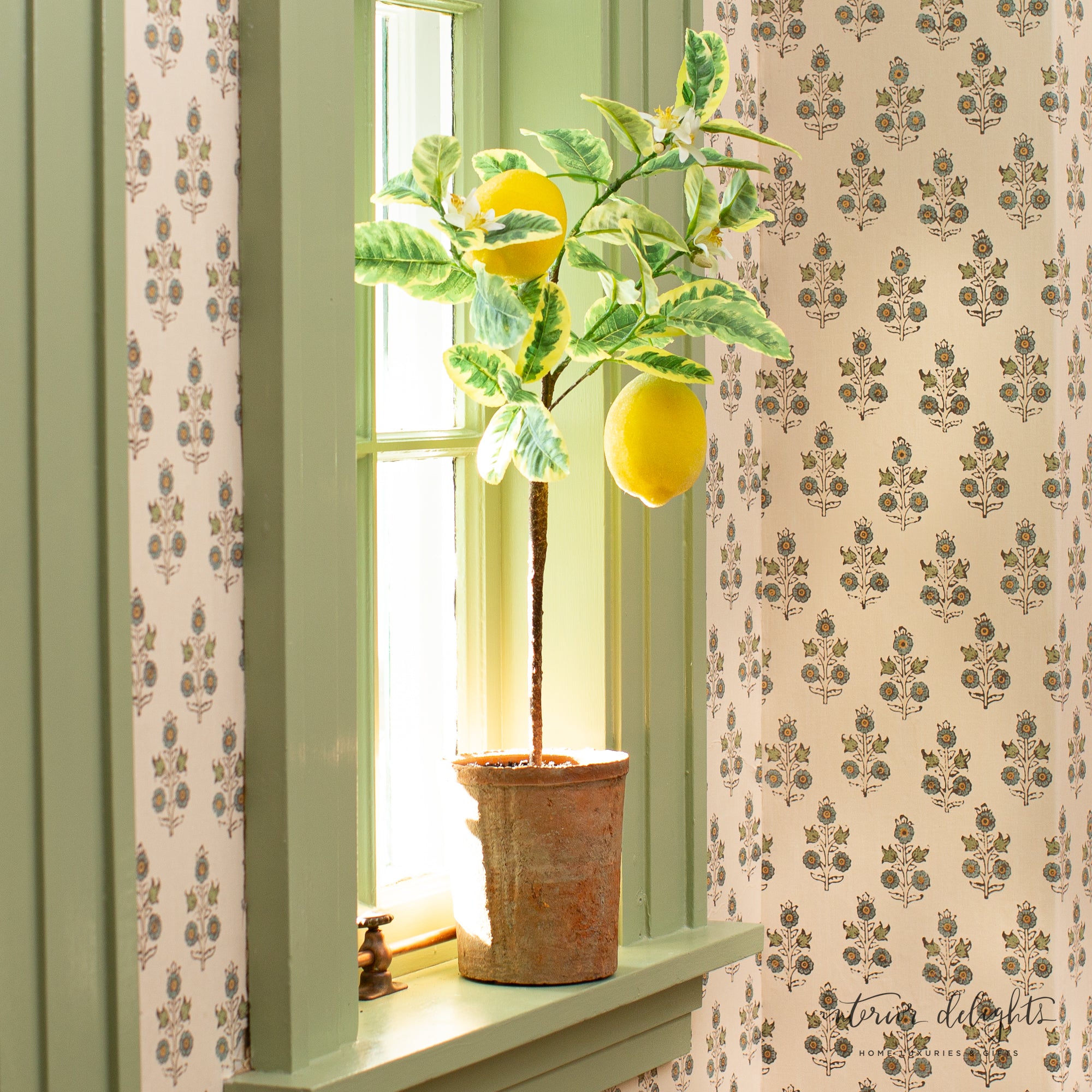 25” Lemon Tree in Clay Pot