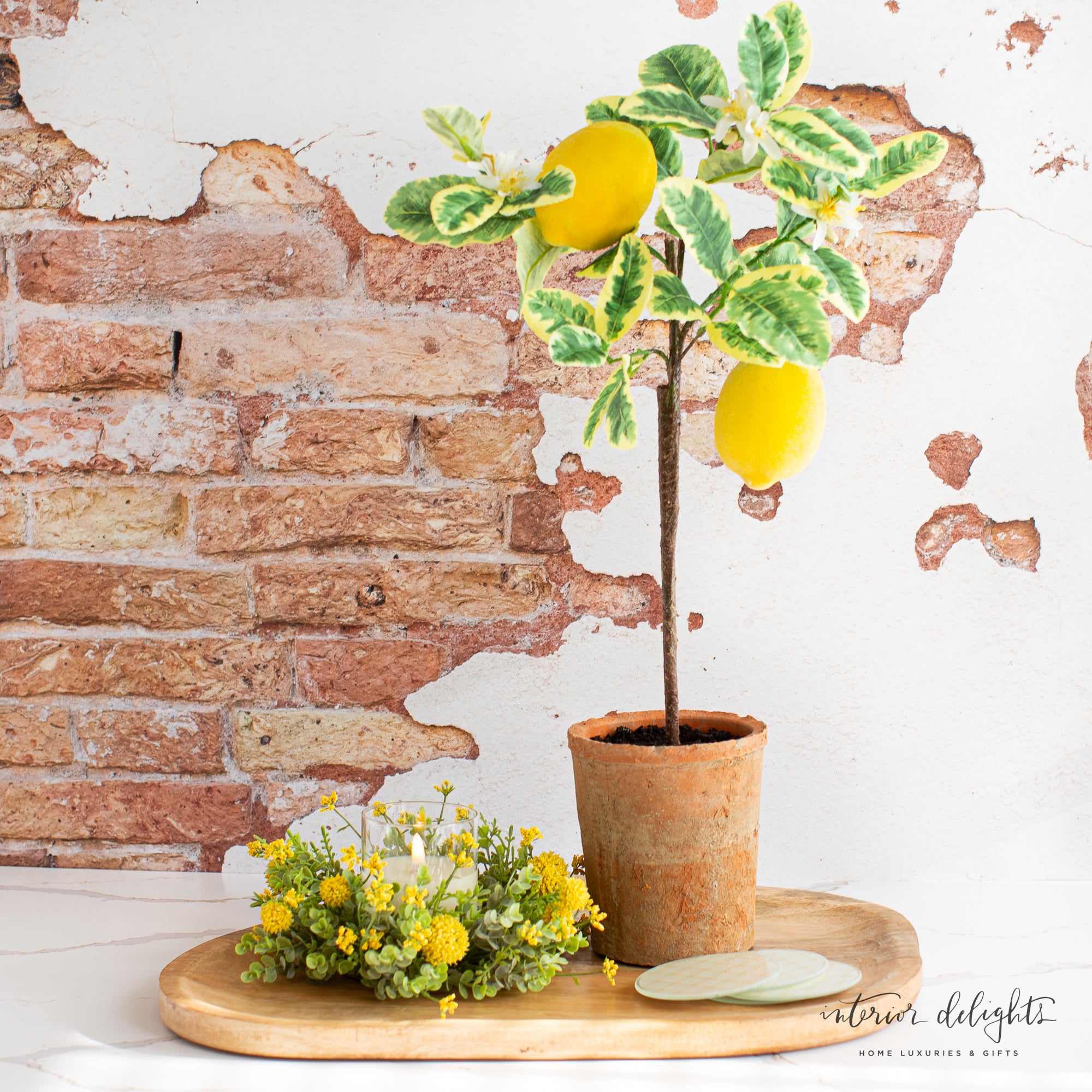 25” Lemon Tree in Clay Pot