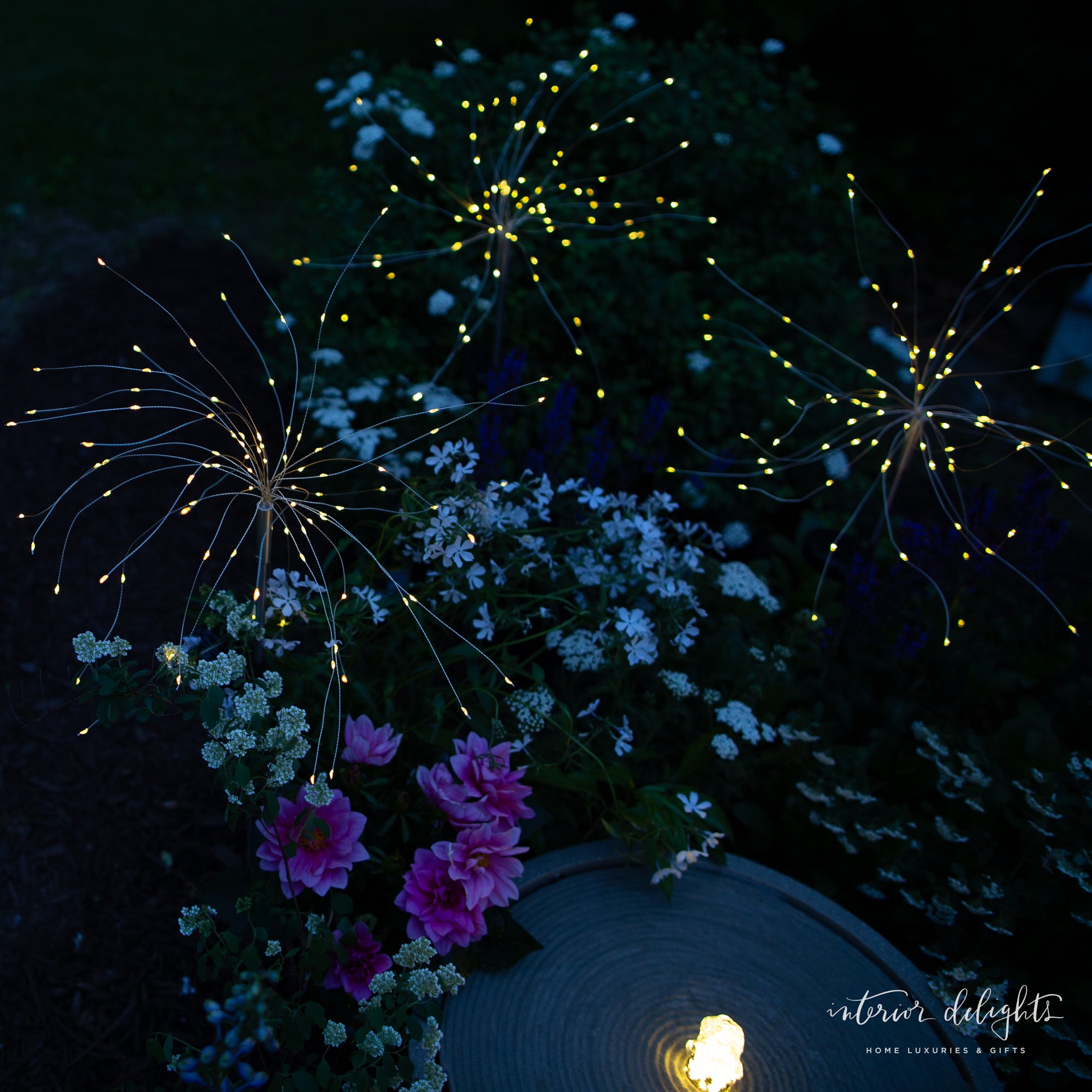 Dandelion Solar Stake Light illuminating a pathway with its unique flower wire design, ideal for garden decoration.