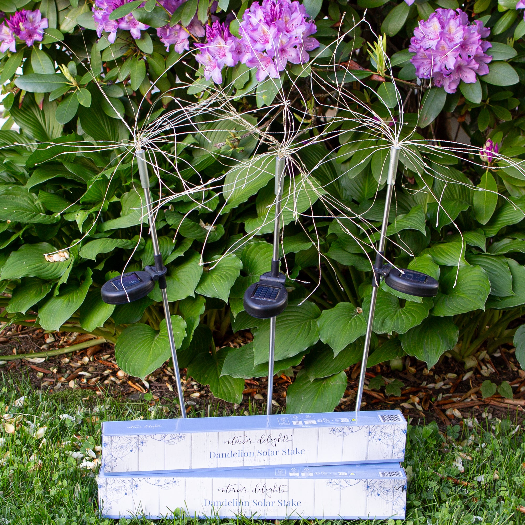 Dandelion Solar Stake Light at dusk, adding a warm white glow to a garden and highlighting nearby flowers.