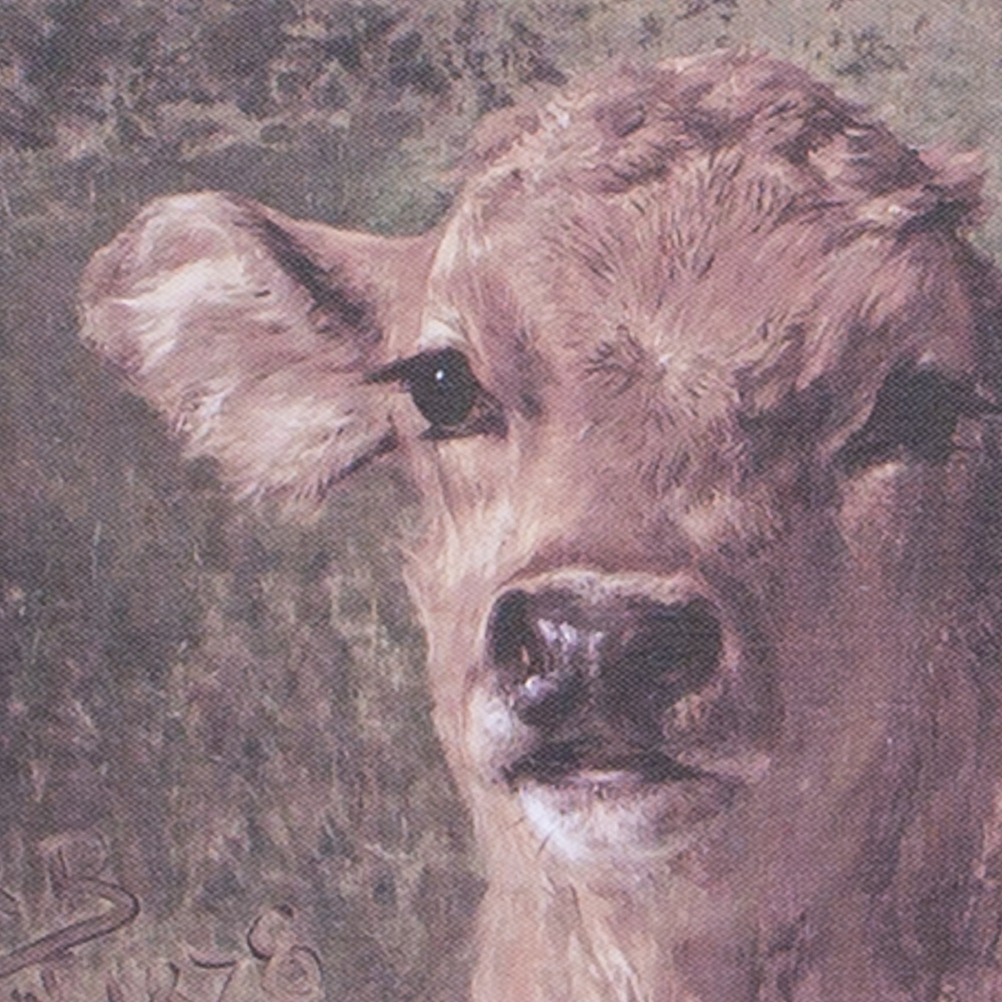 Canvas Wall Art- Brown Cow