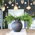38” Natural Touch Norfolk Pine Spray in a decorative vase, showcasing realistic needles for holiday decor.