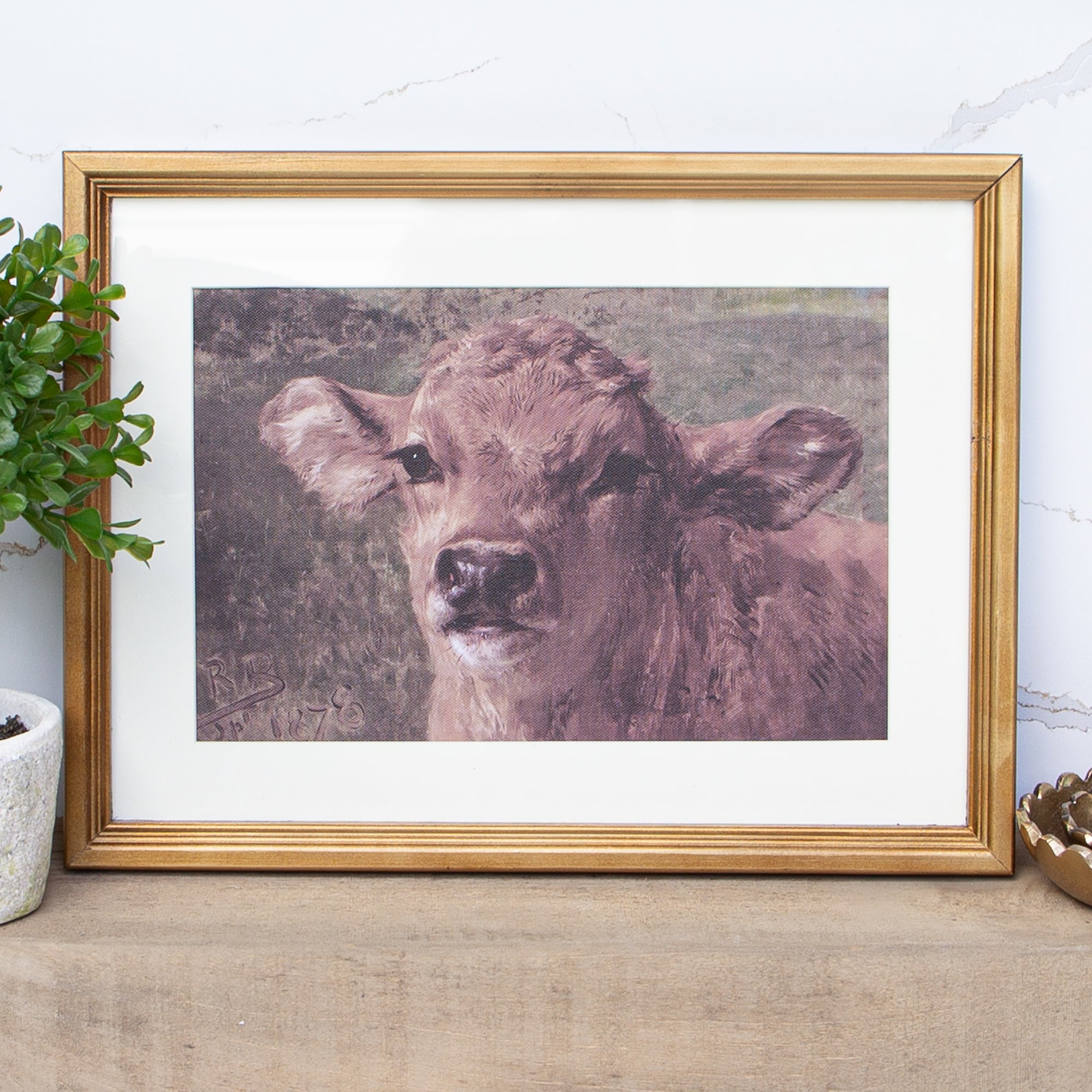 Canvas Wall Art- Brown Cow