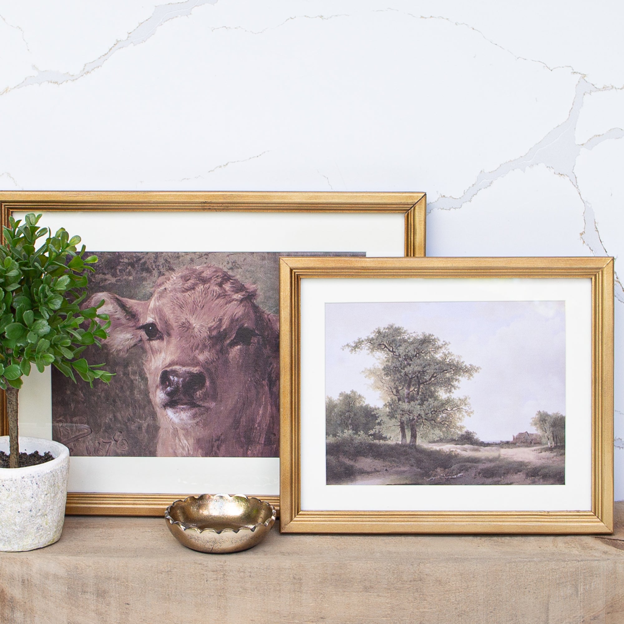 Canvas Wall Art- Brown Cow