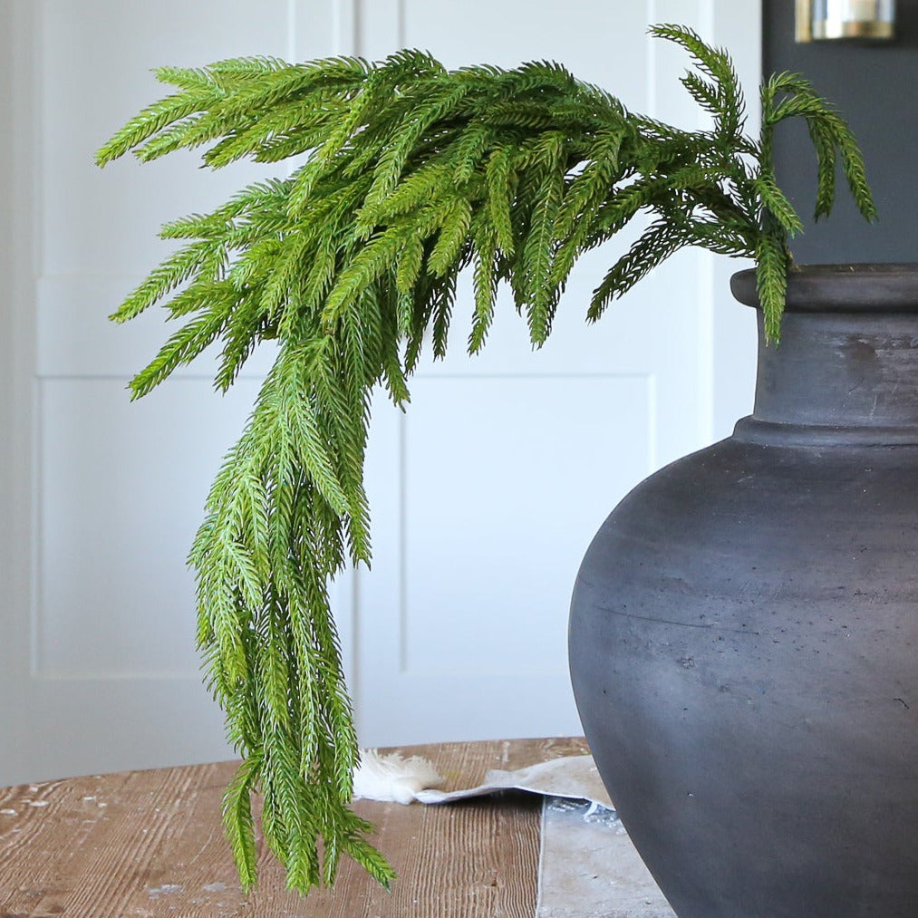 Close-up of the 38” Natural Touch Norfolk Pine Spray, highlighting its ultra realistic and soft foliage.