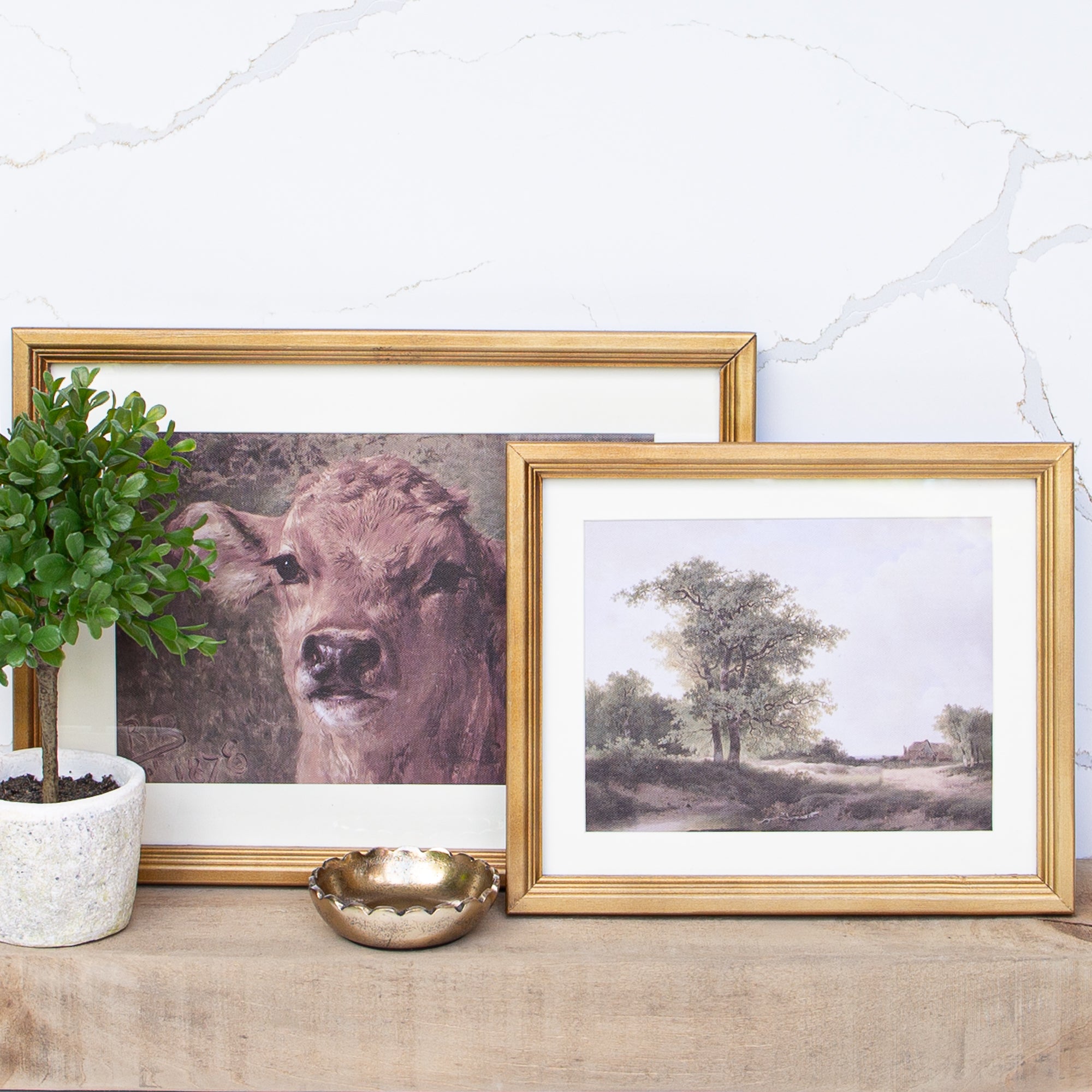 Canvas Wall Art- Brown Cow