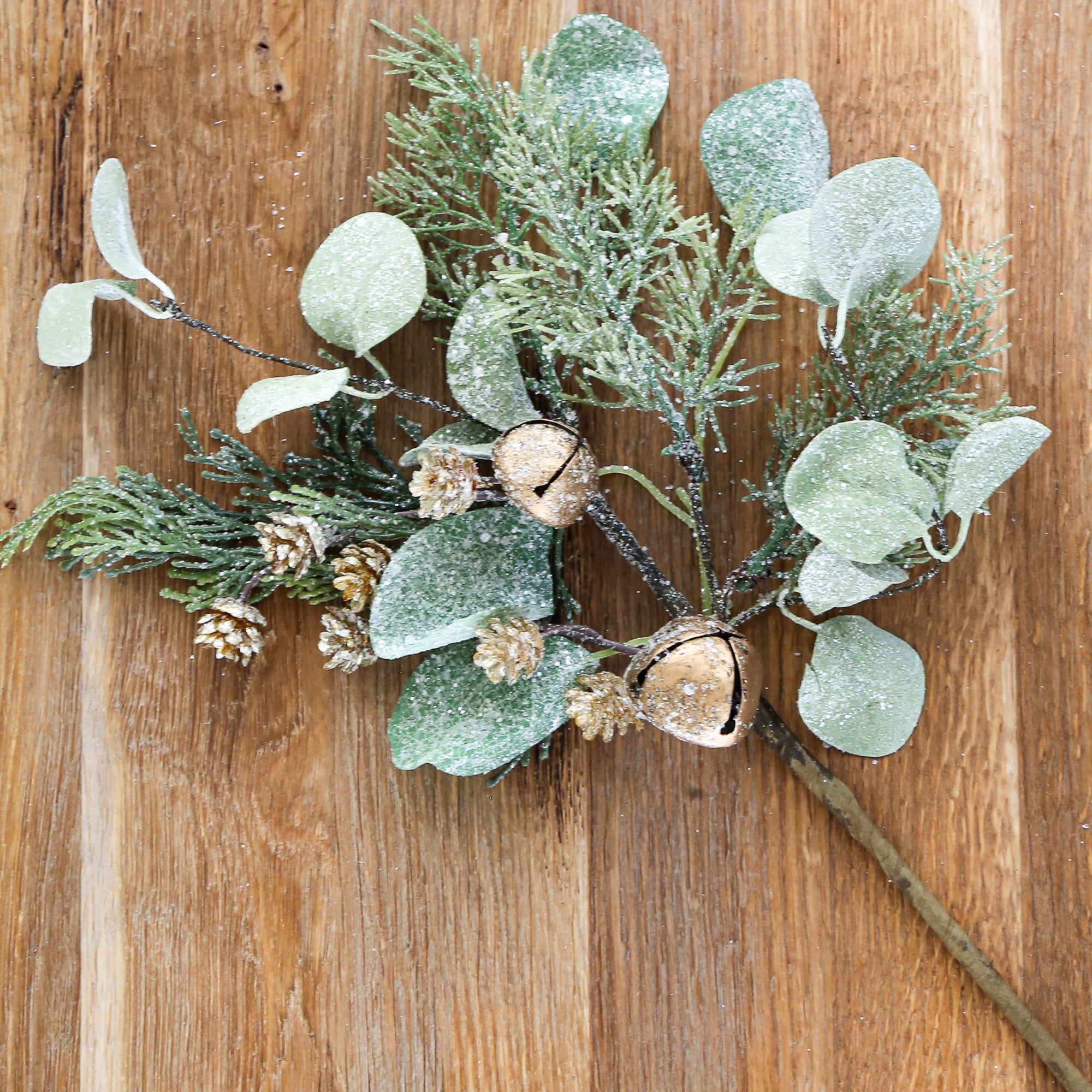 VOLUME BUY Golden Bell Eucalyptus Pick 15" SIX PACK