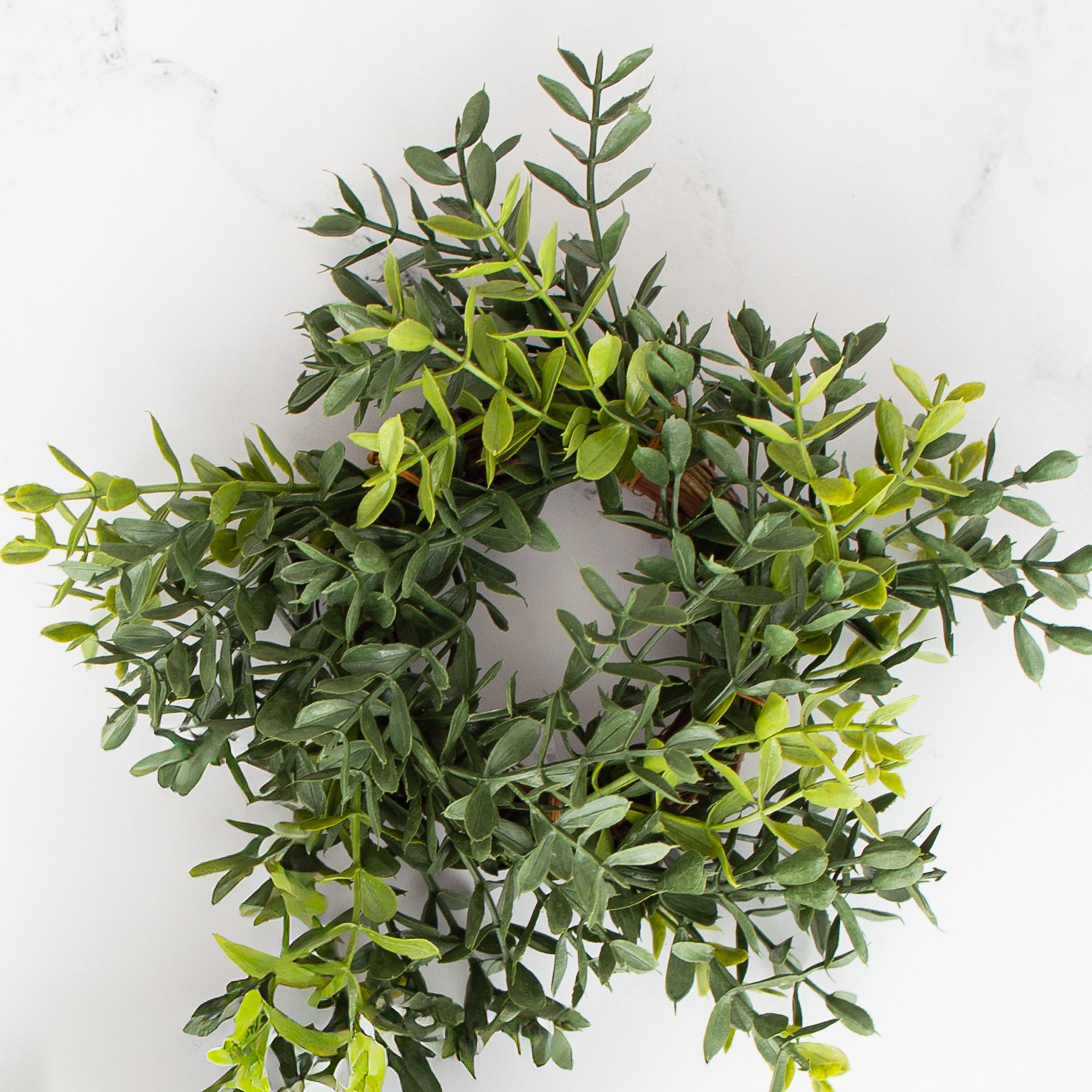 New England Boxwood Taper Candle Ring- 6in-Sold Individually