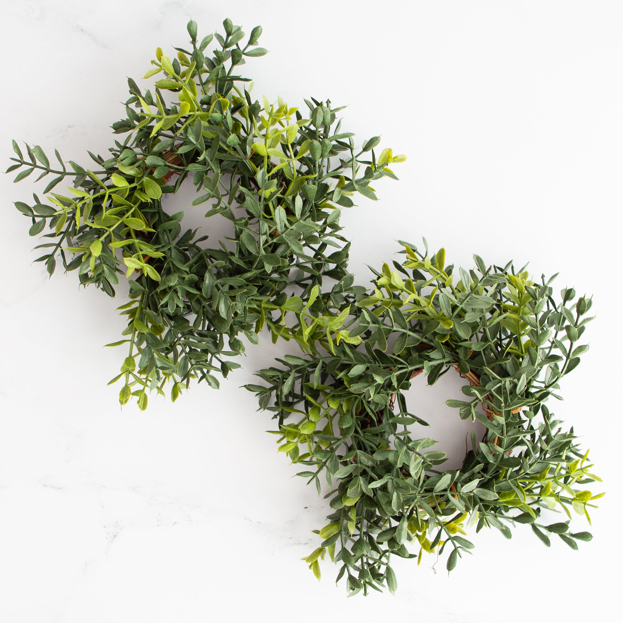 New England Boxwood Taper Candle Ring- 6in-Sold Individually