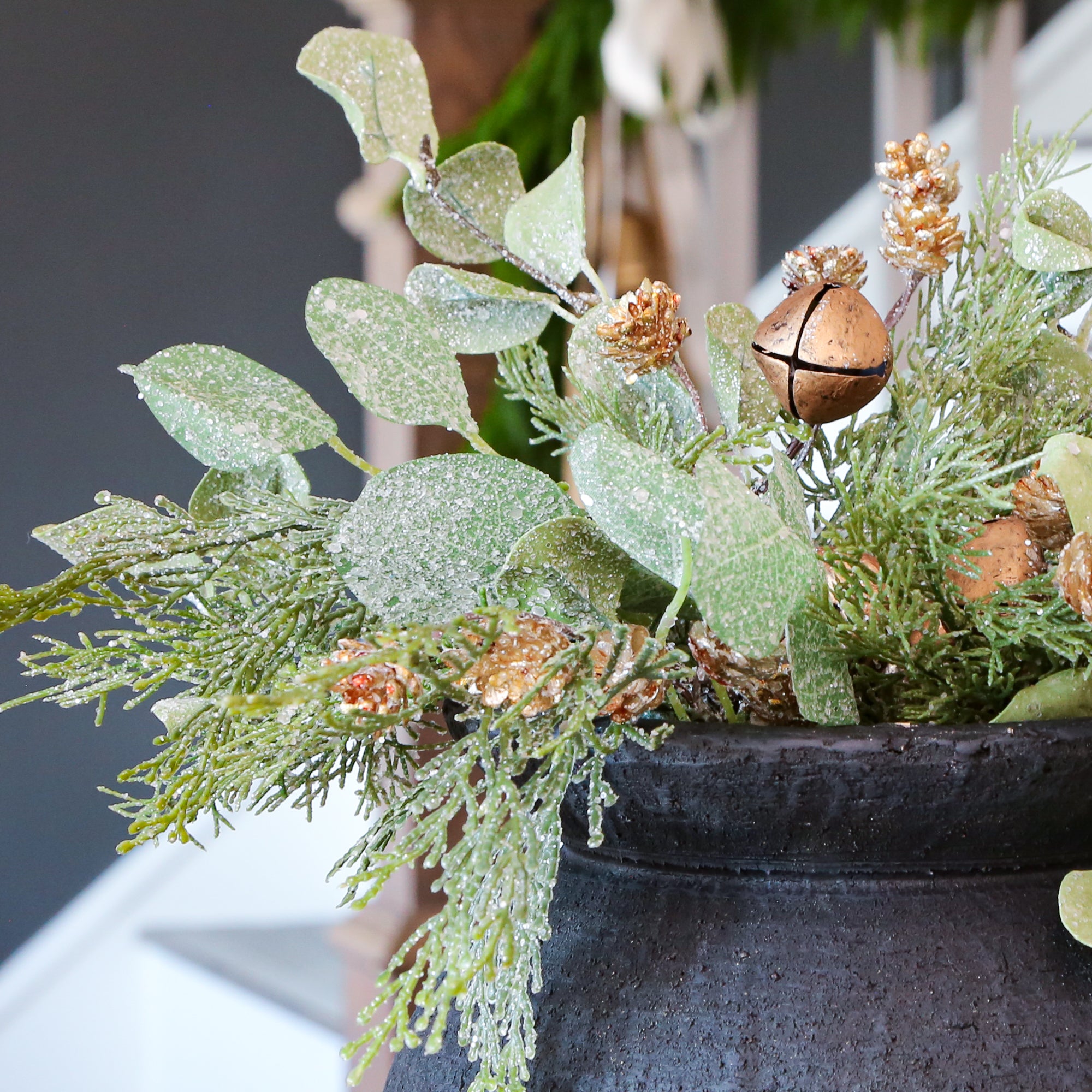 VOLUME BUY Golden Bell Eucalyptus Pick 15" SIX PACK