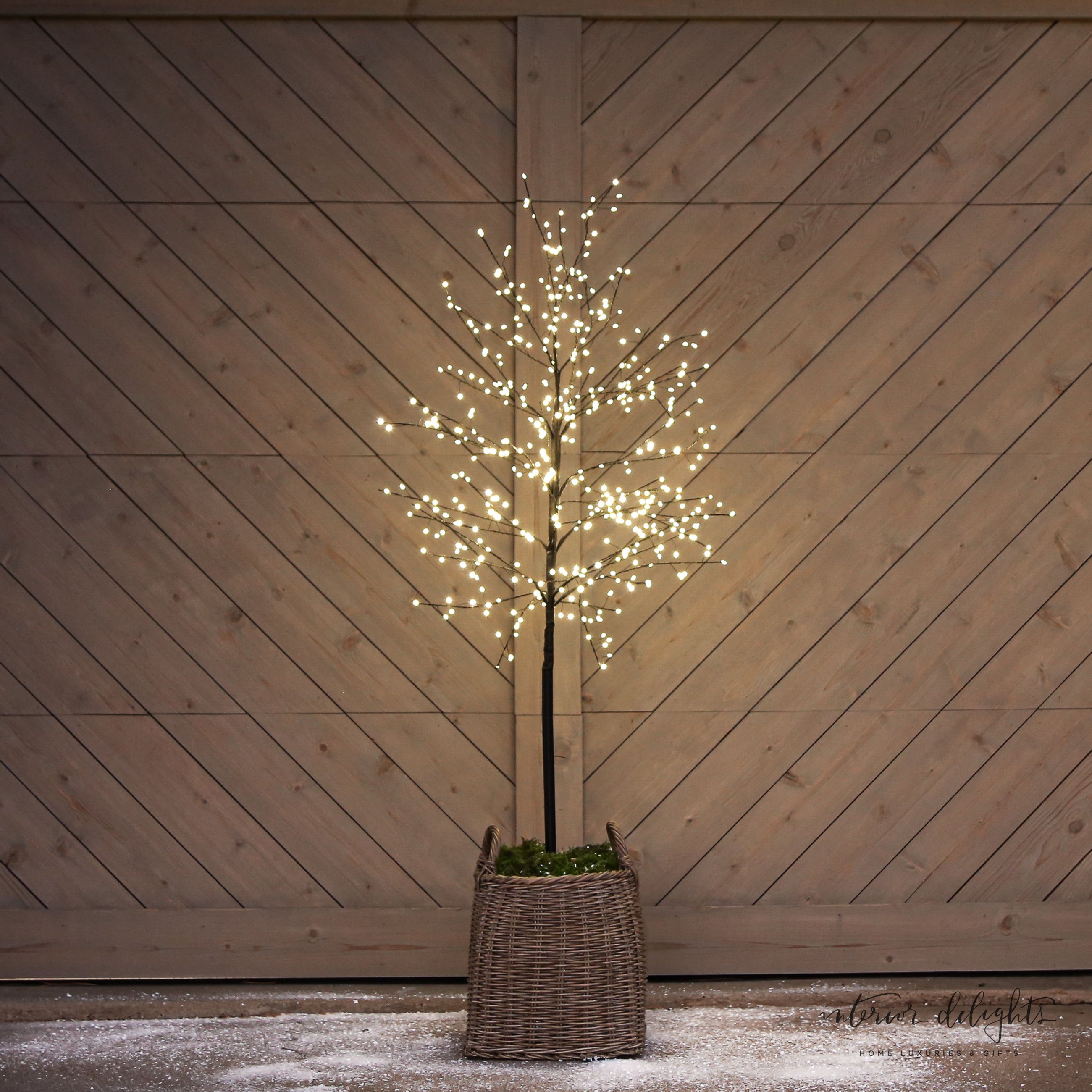 Close-up of Slim Trunk Sparkle Tree&