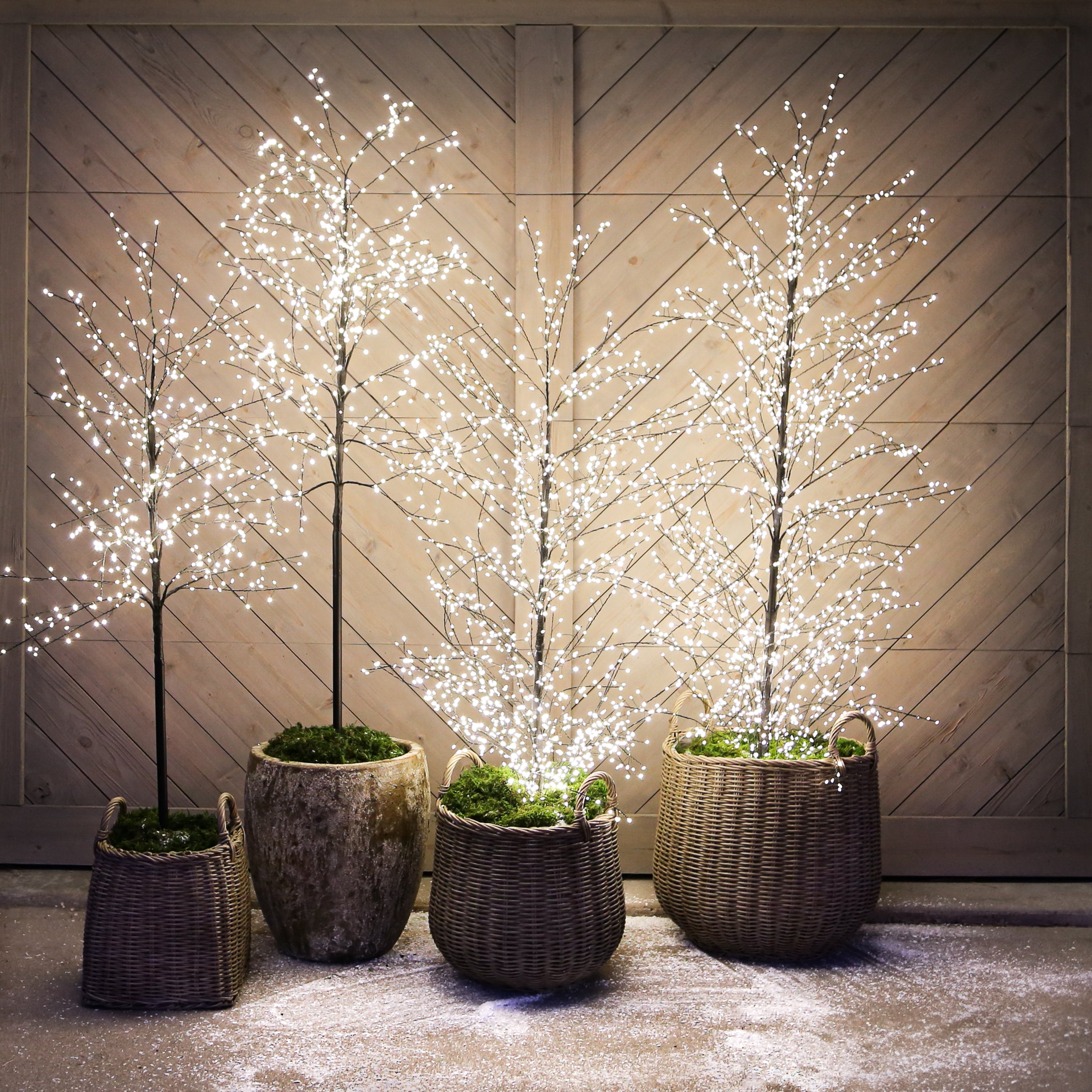 Curated Set: Cozy outdoor scene featuring 70" Full Trunk LED Tree with glowing lights.