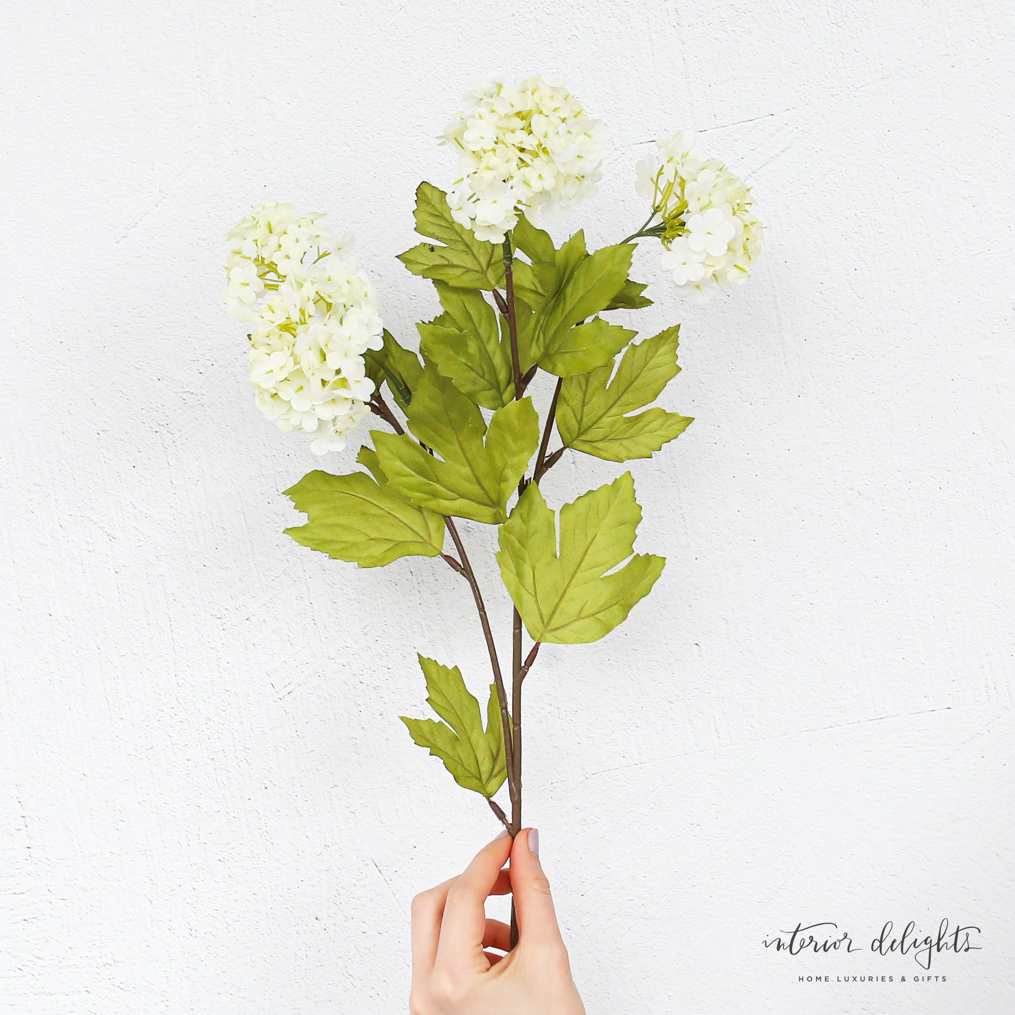 The Knot Curated Set: Cream Knot Vase + 6 Snowball Sprays
