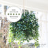 19" UV Protected Round Hanging Boxwood Ball with Baby&