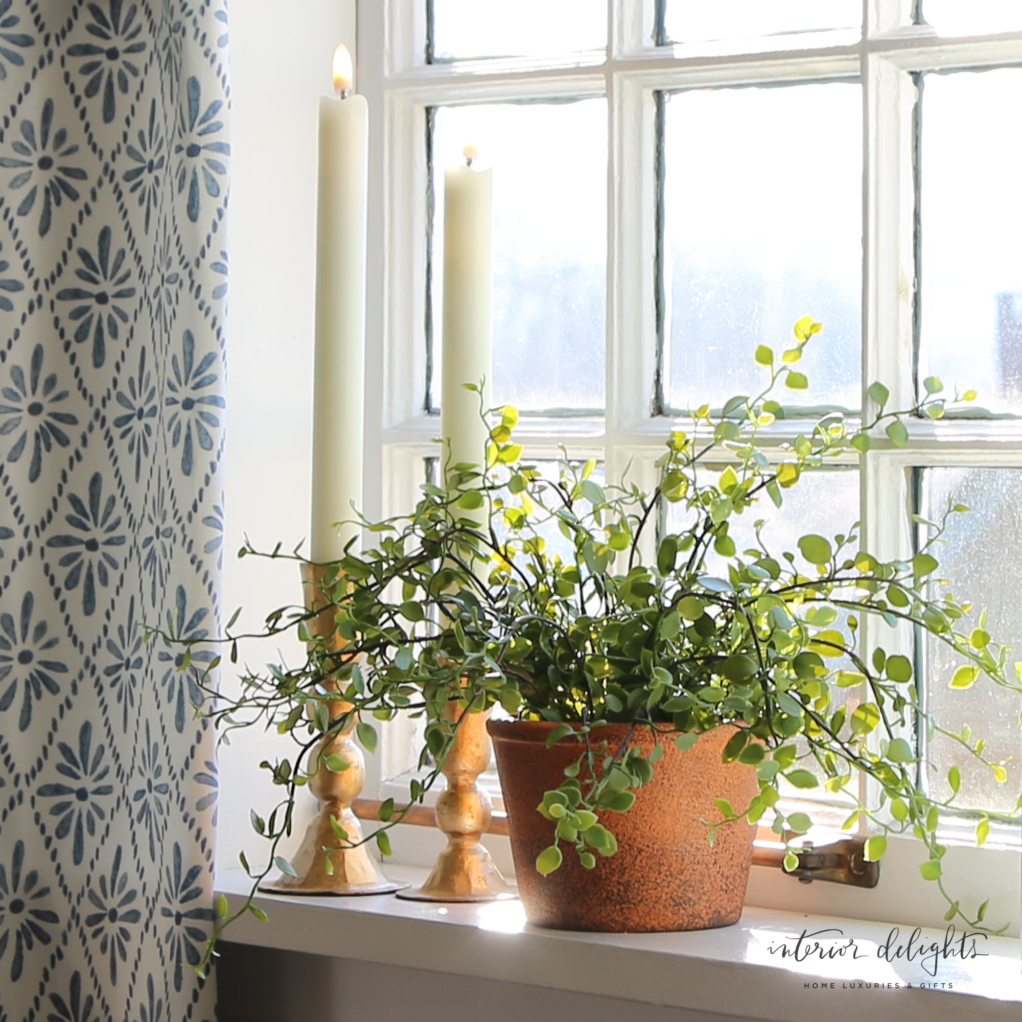 Close-up view of the Potted Angel Vine, featuring its cascading, bendable vines that provide a natural aesthetic for shelves or desks.