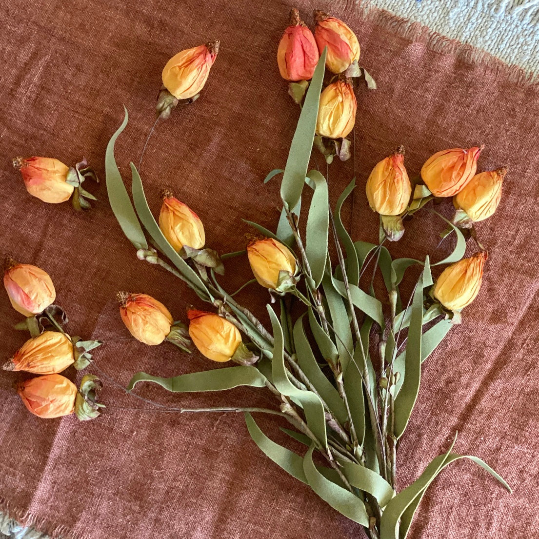 Lantern Buds | Sunset | 23"