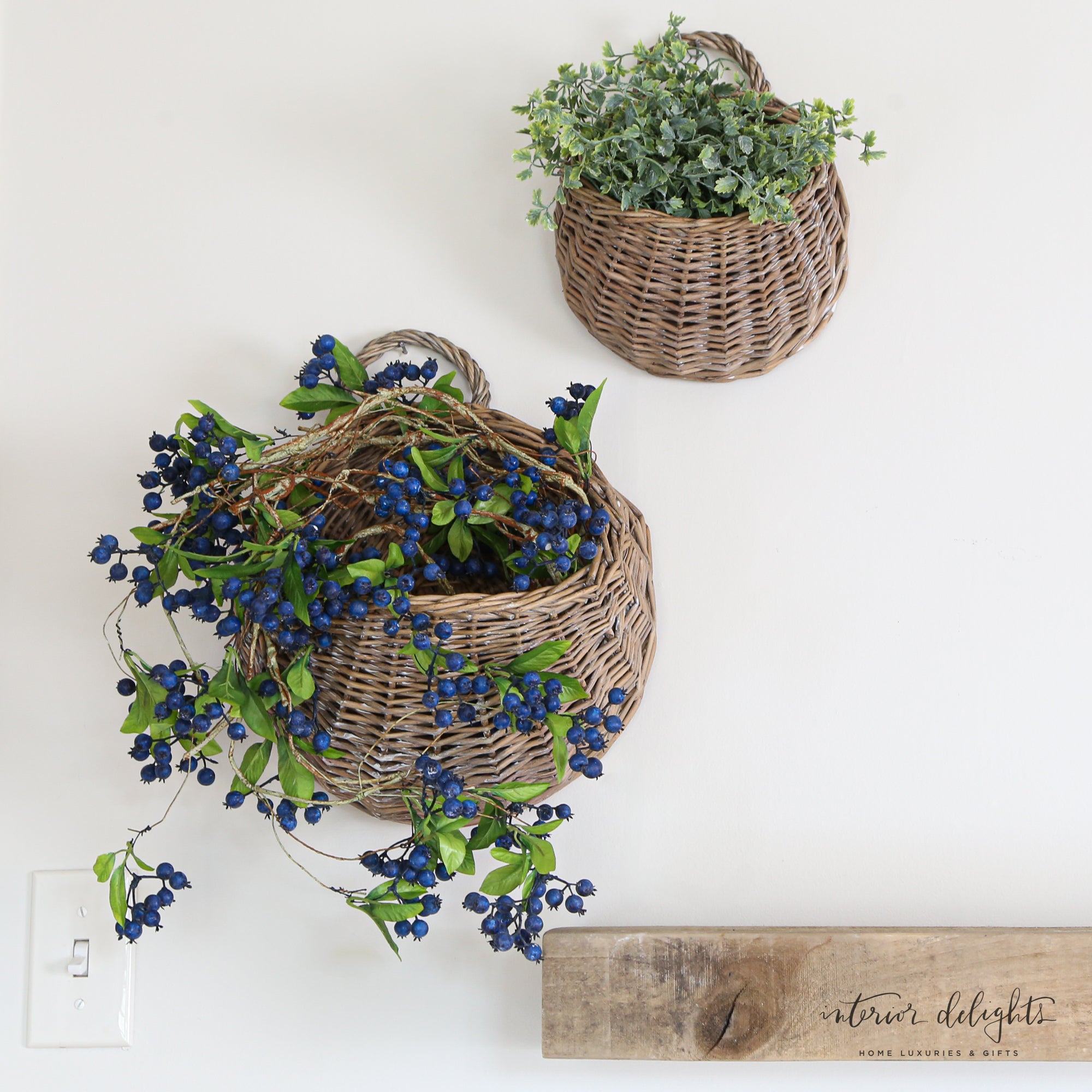 Close-up of Blue Berry Hanging Vine showcasing its flexibility and vibrant color for stylish arrangements.