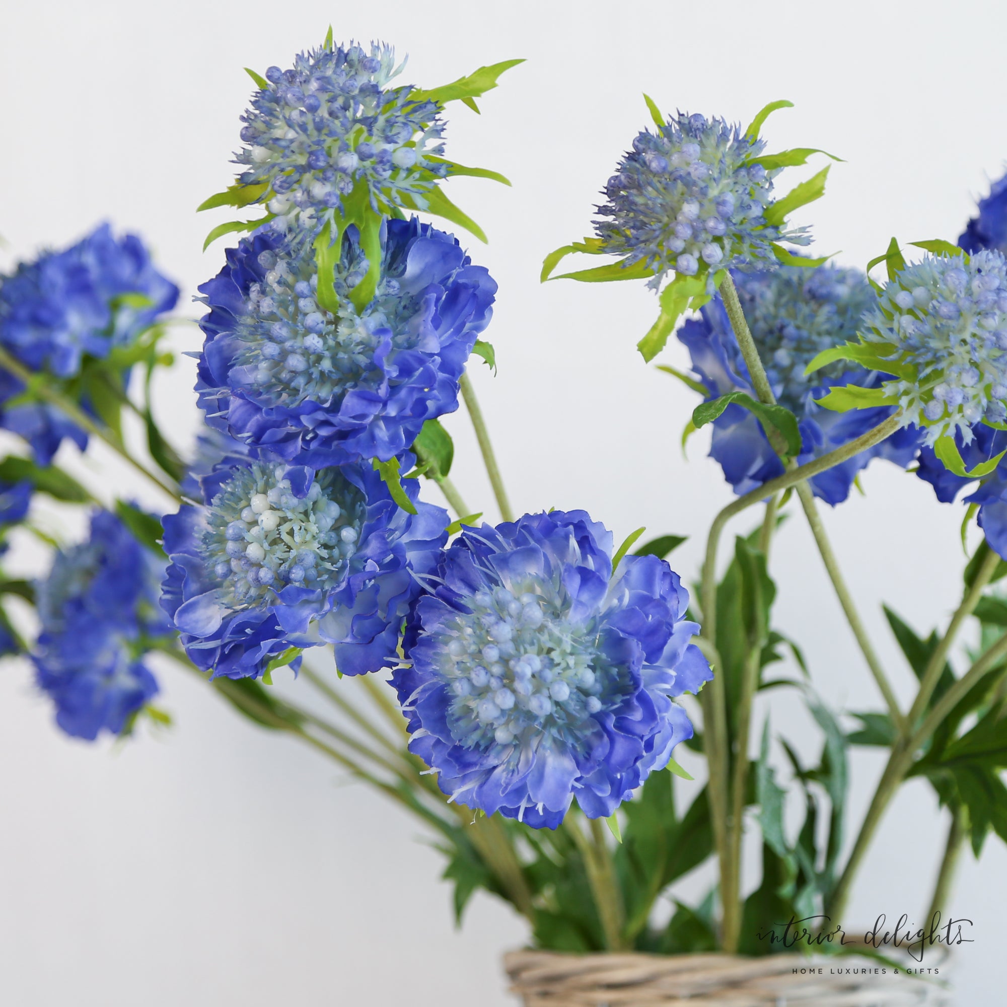Blue Triple Pincushion Flower - Interior Delights