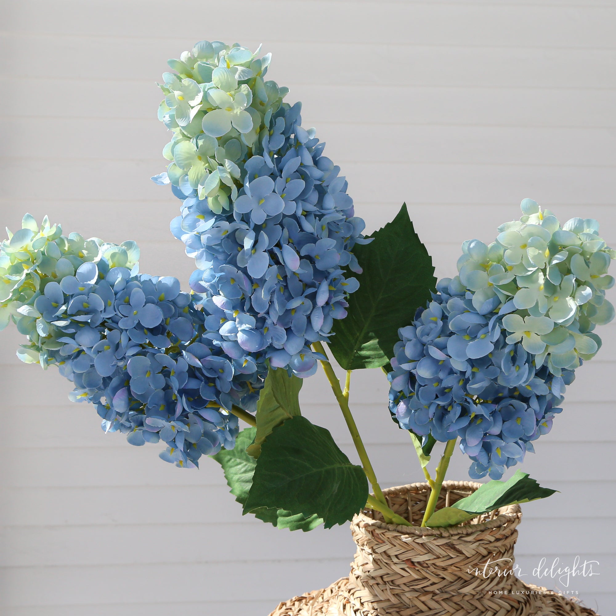 Summit Hydrangea Stem in green color featuring full, vibrant blooms for floral arrangements.
