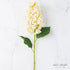 Summit Hydrangea stem in cream color, featuring full lifelike blooms, ideal for decorative arrangements.