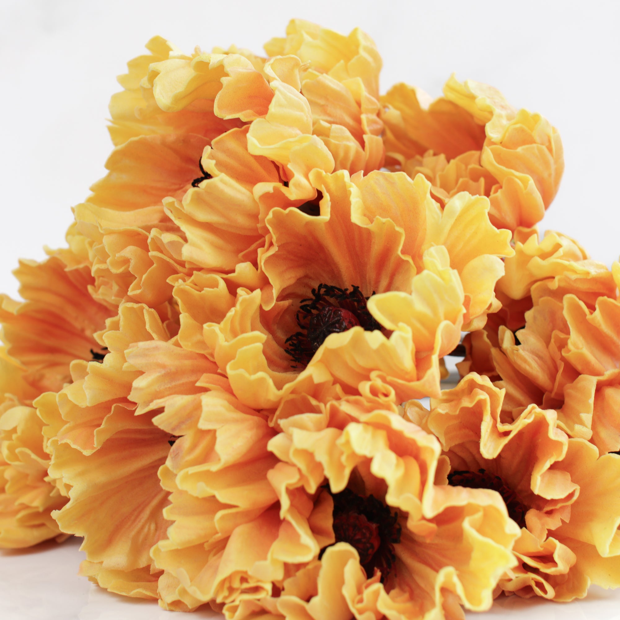 29" Real Touch Poppy, Golden