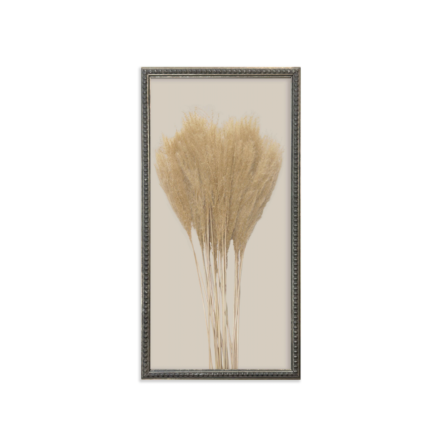 Silver Bead Frame Botanicals (Set of 6) - Interior Delights