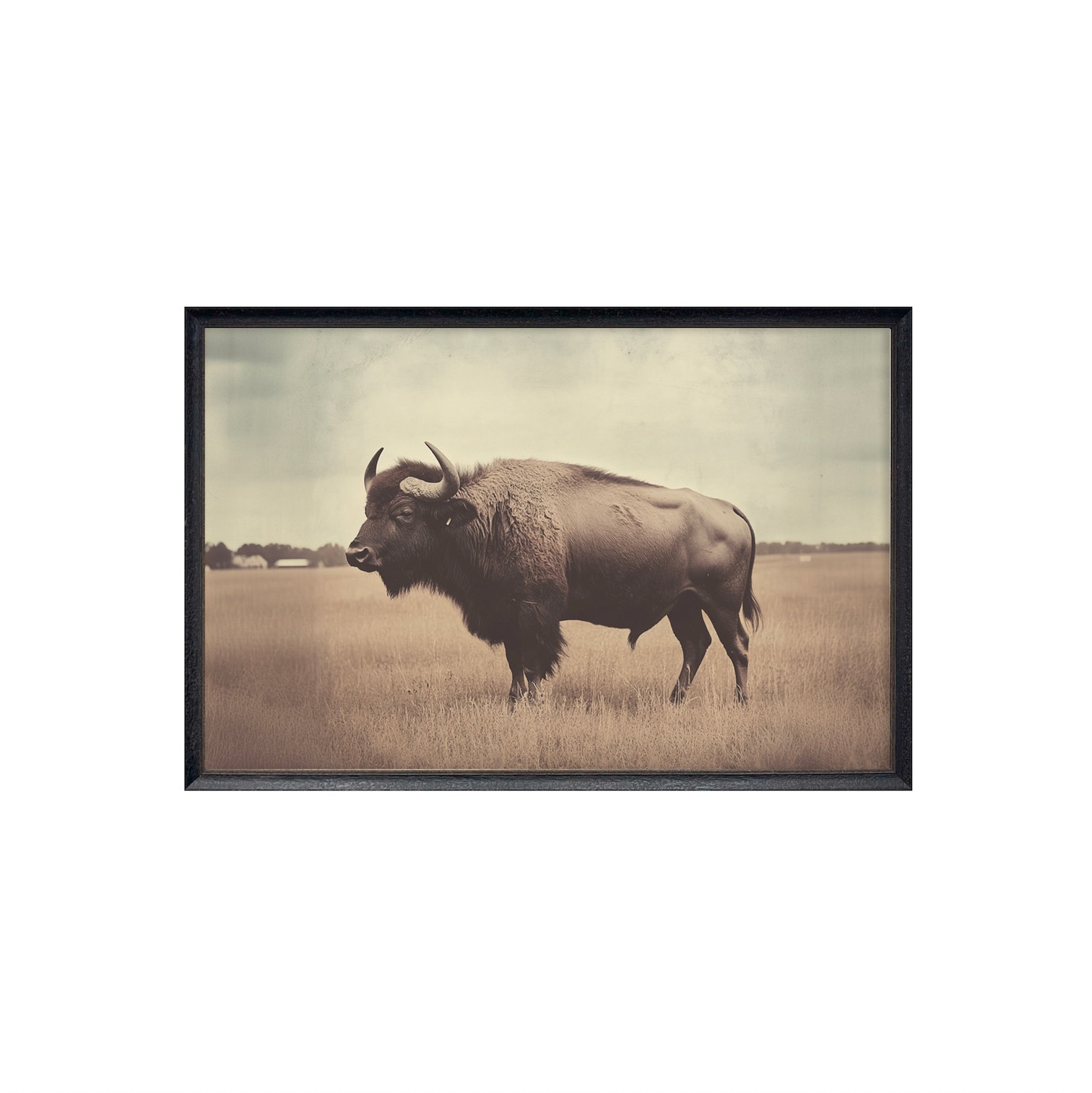 40x60 Vintage Buffalo