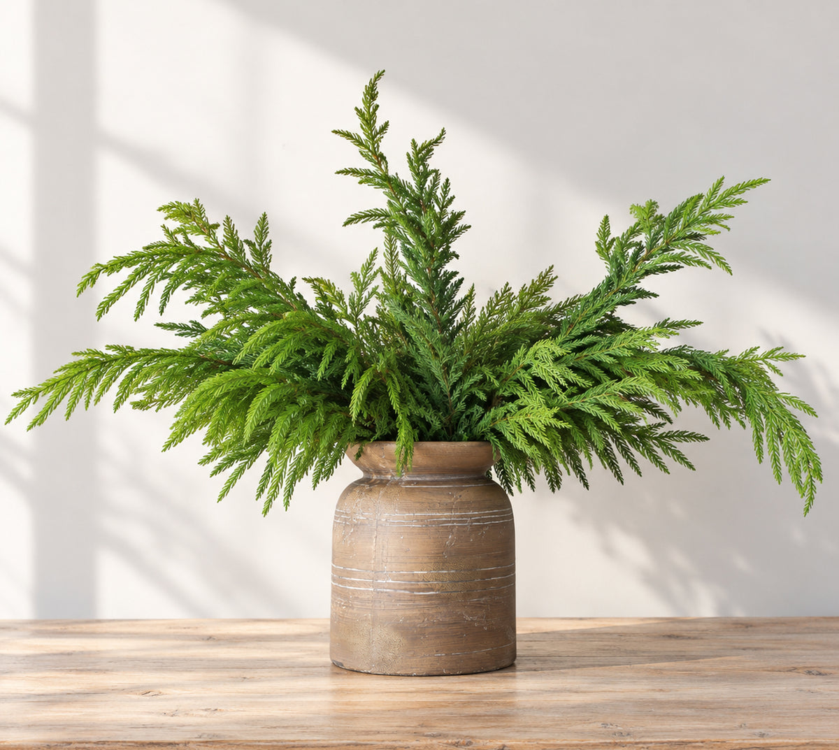 Norfolk Pine Spray & Brown Line Vase Bundle