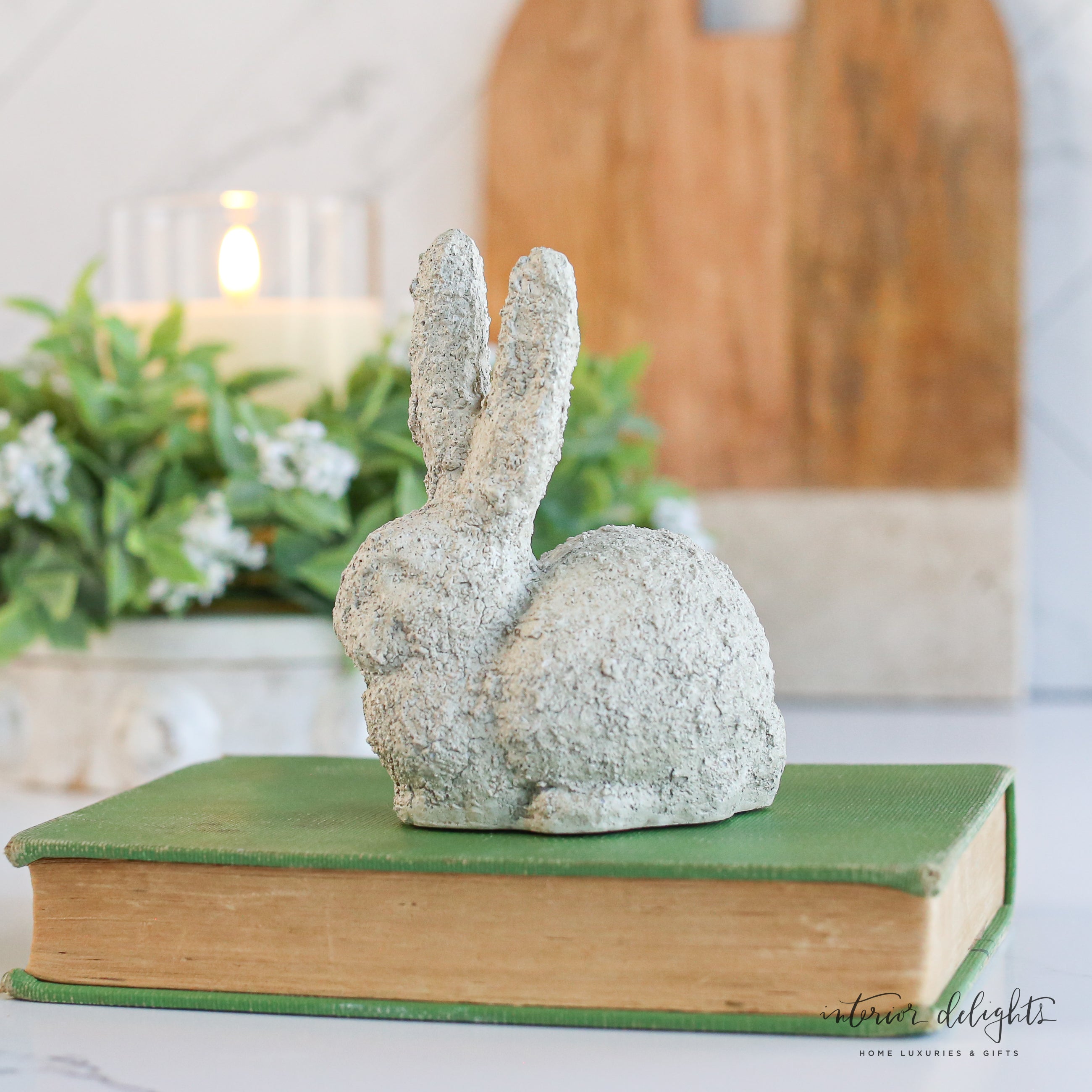 Baby Bunny Rabbit - Interior Delights