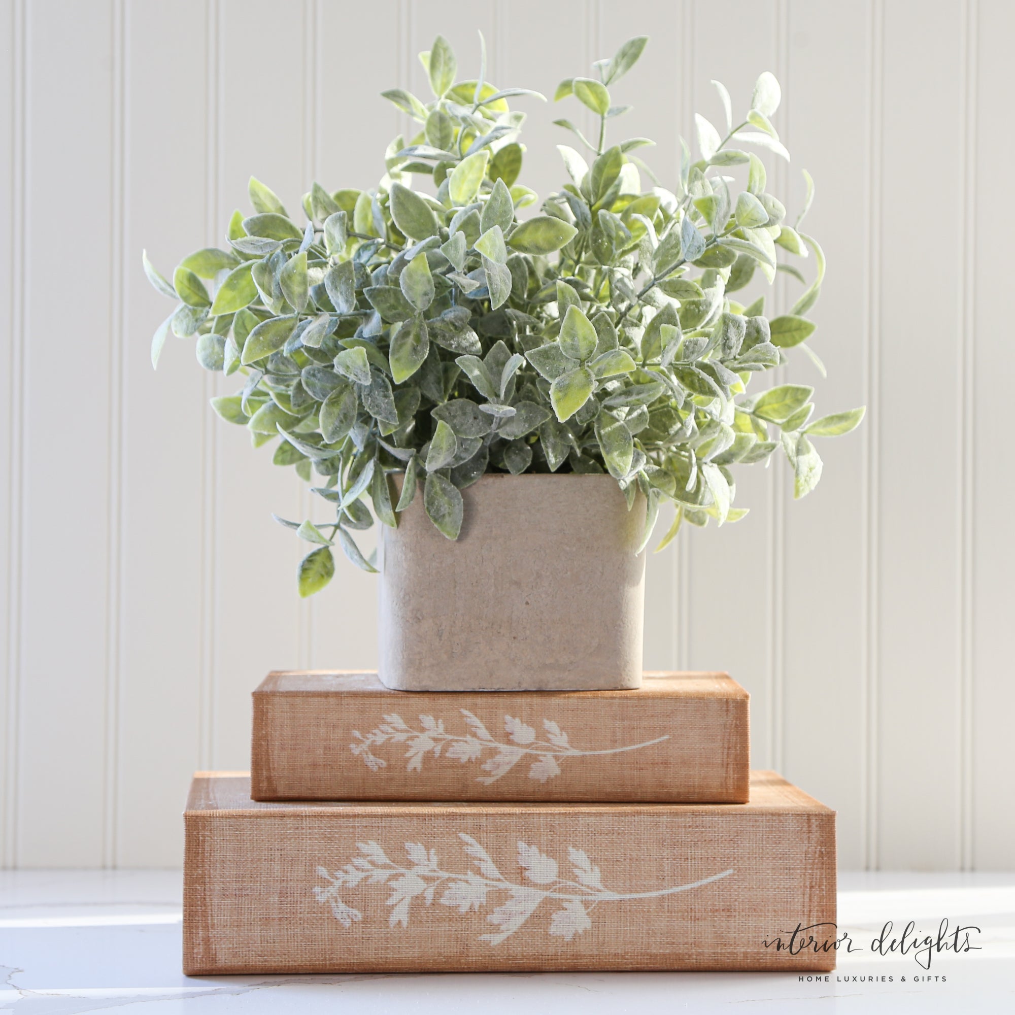 Sage in Cement Pot - Interior Delights
