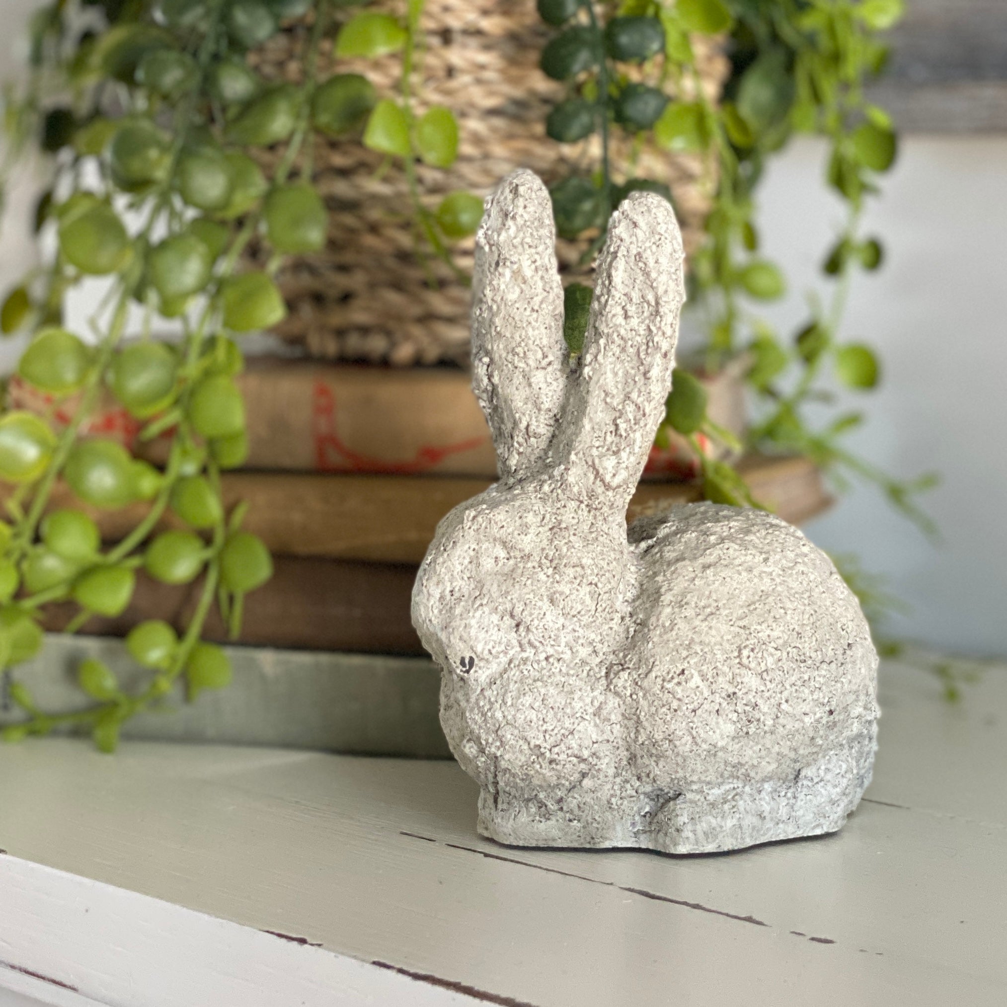 Baby Bunny Rabbit - Interior Delights