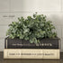 9" Dusty Eucalyptus Pouf, perfect for decor and cozy spaces, ideal for use on book boxes or tucked into pitchers.